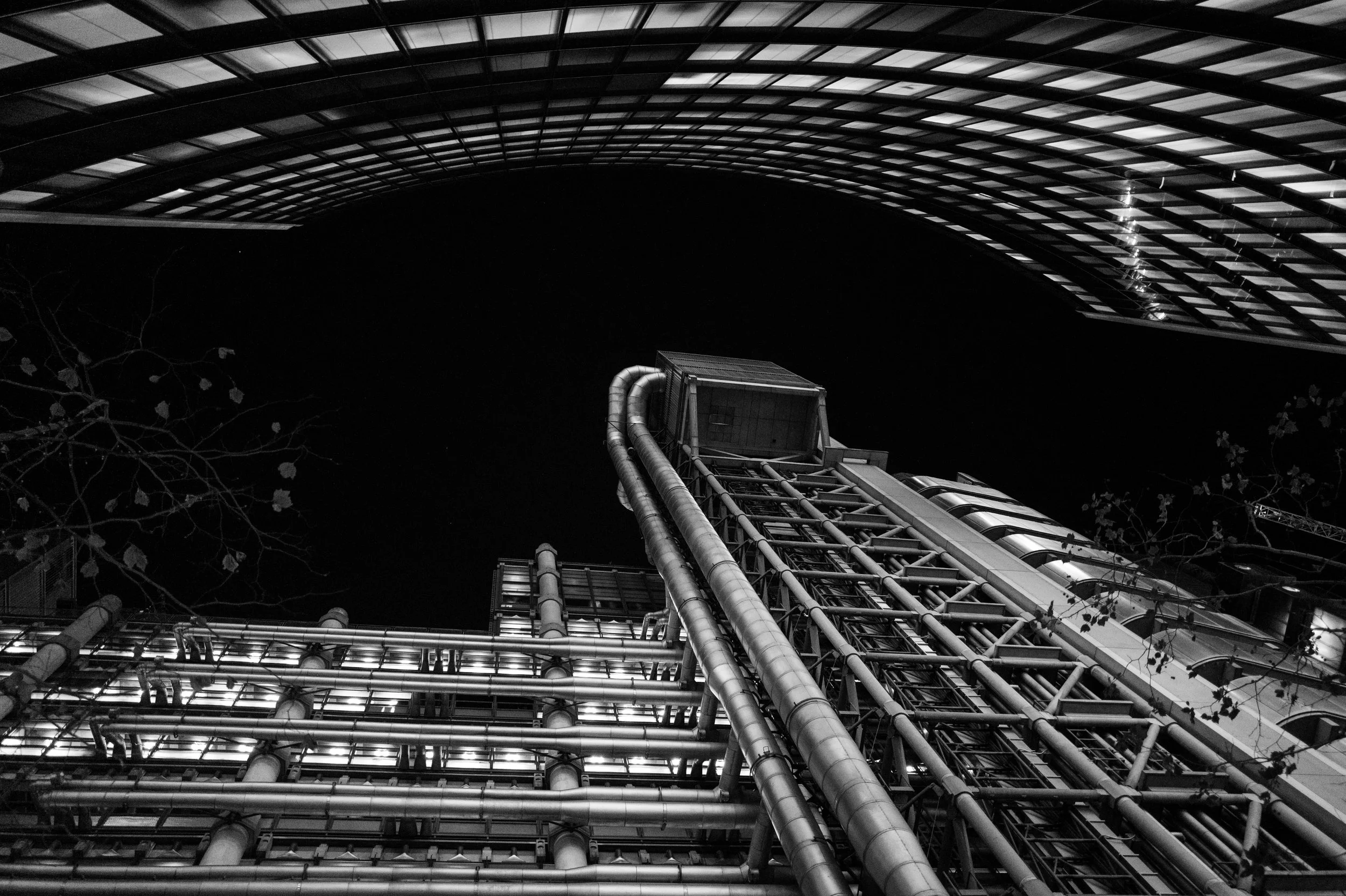 L1002944.jpg