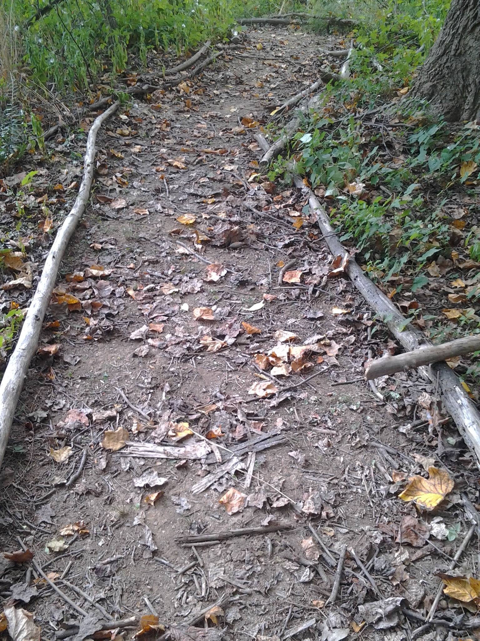 the trail.jpg