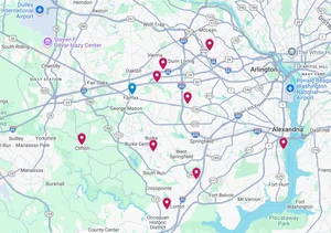 Fairfax Tree Rescuers