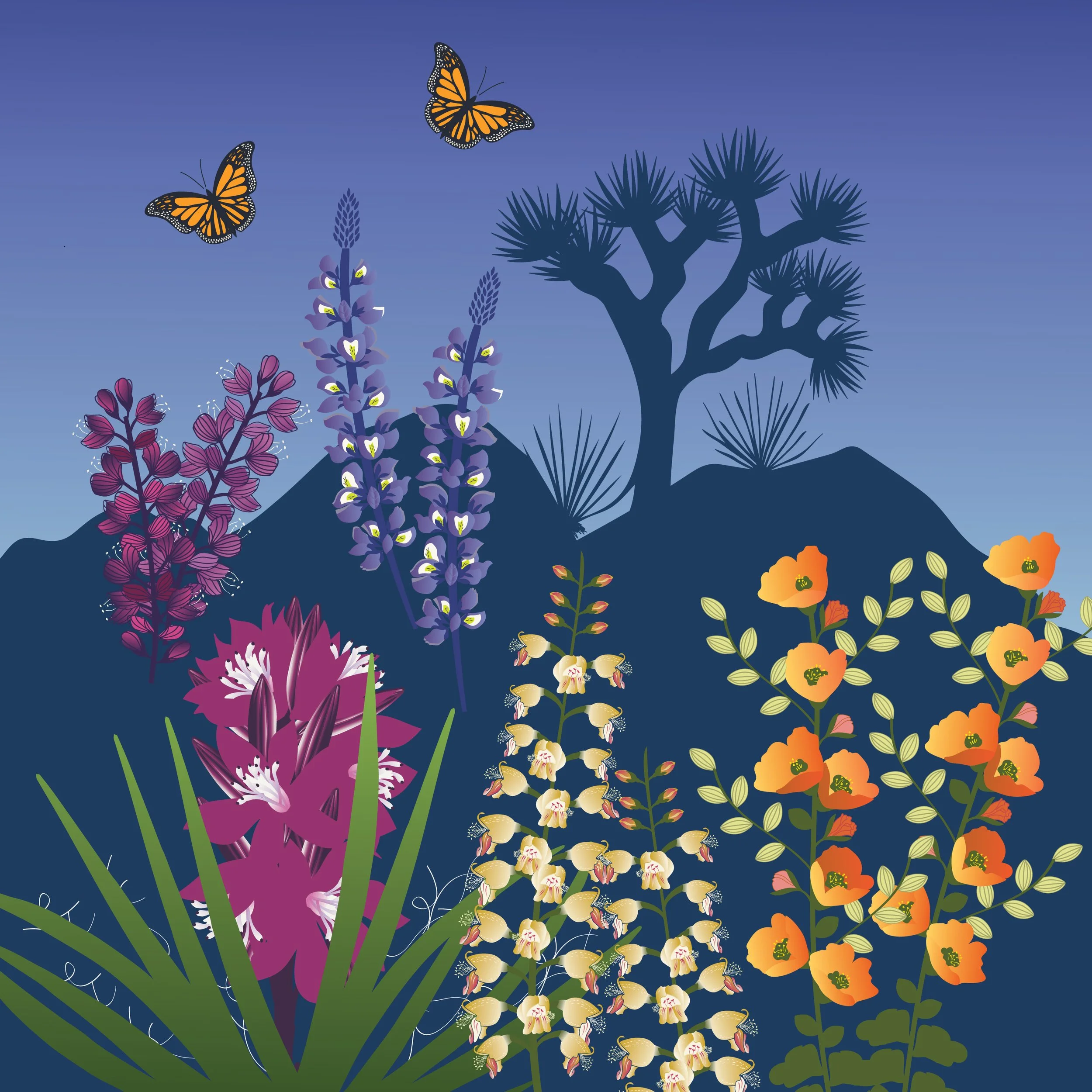 Midnight Desert Botanicals.jpg