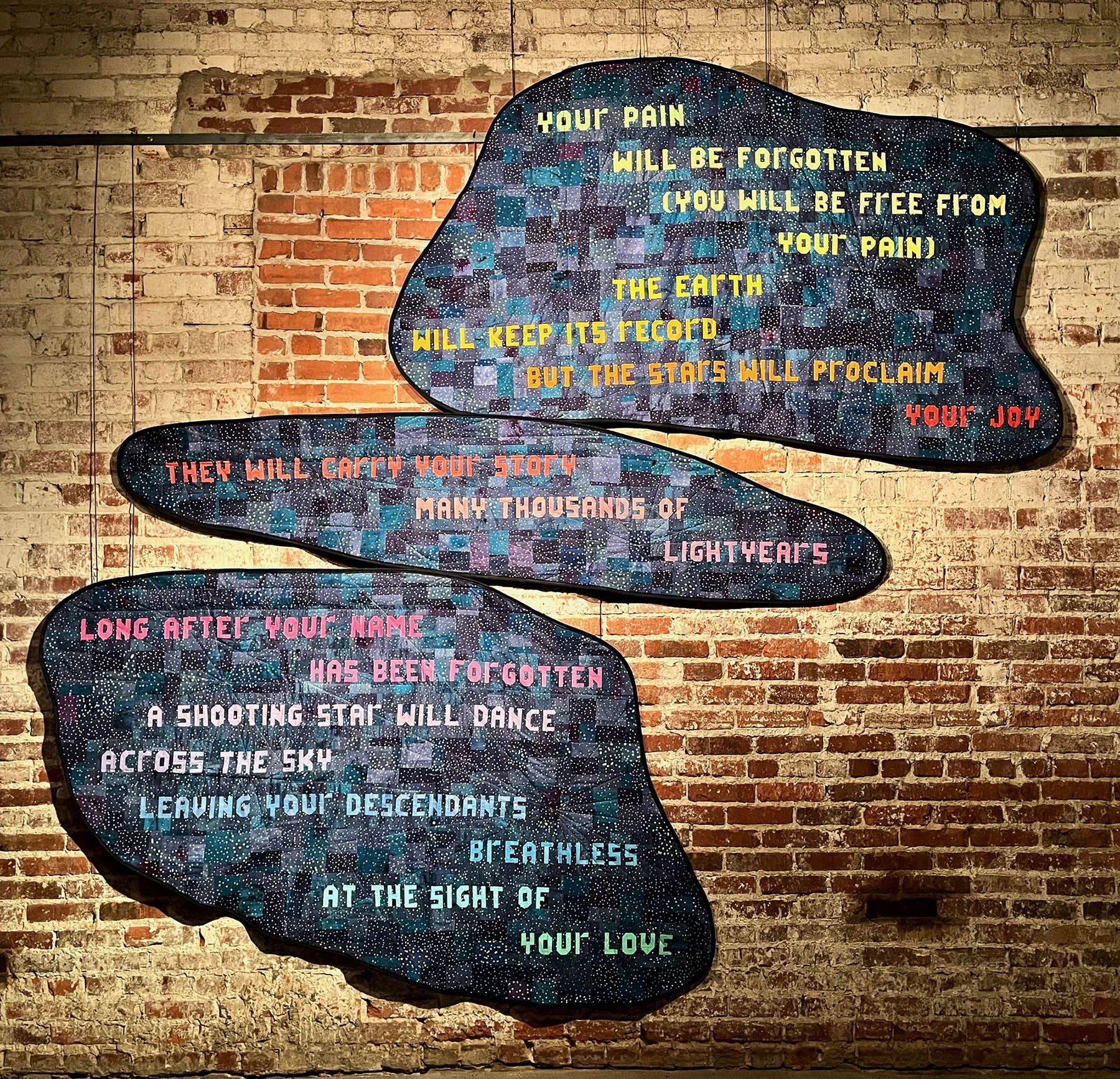 Murmuration 2025
Photo Credit Emily Christiansen