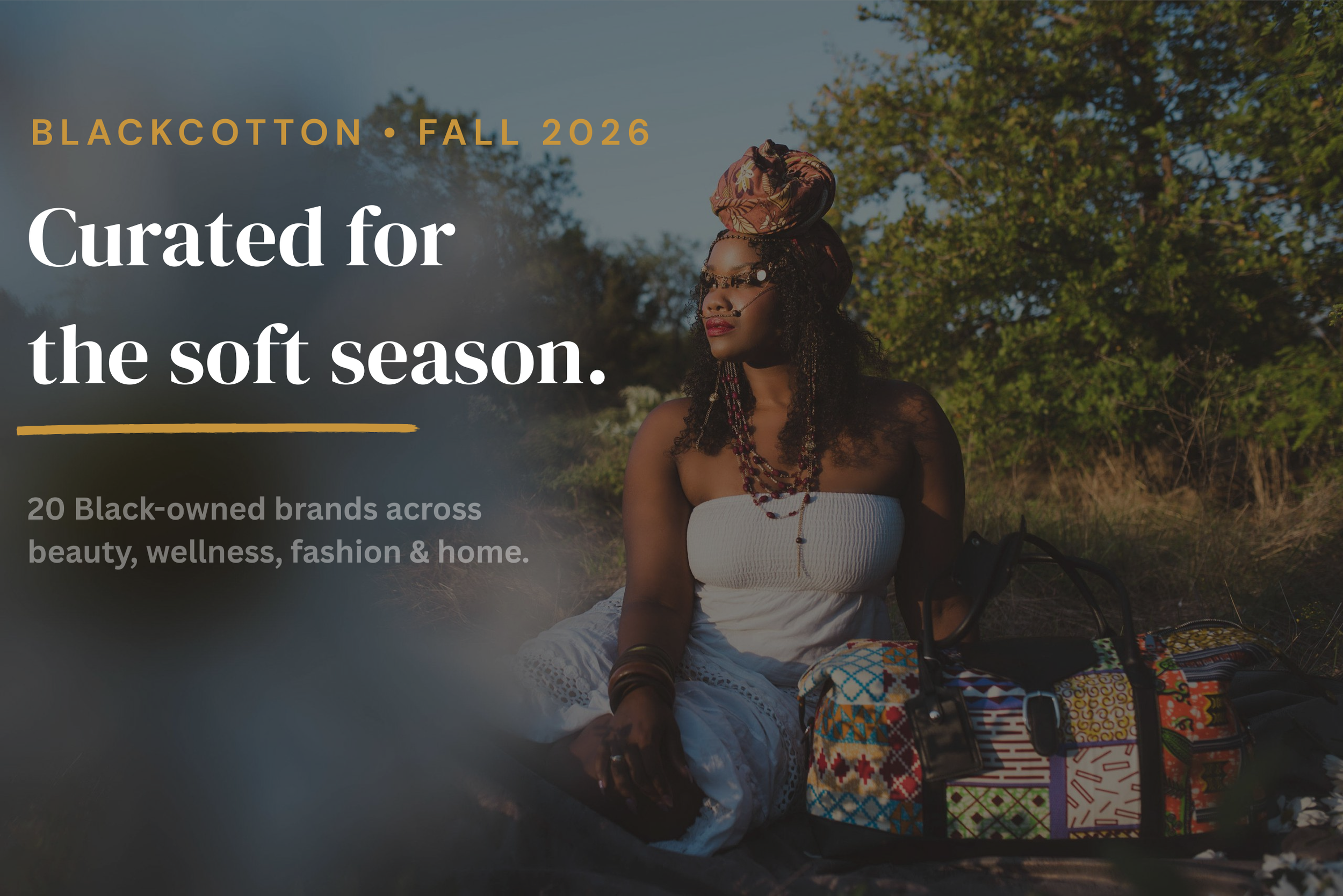 black women picnic lifestyle