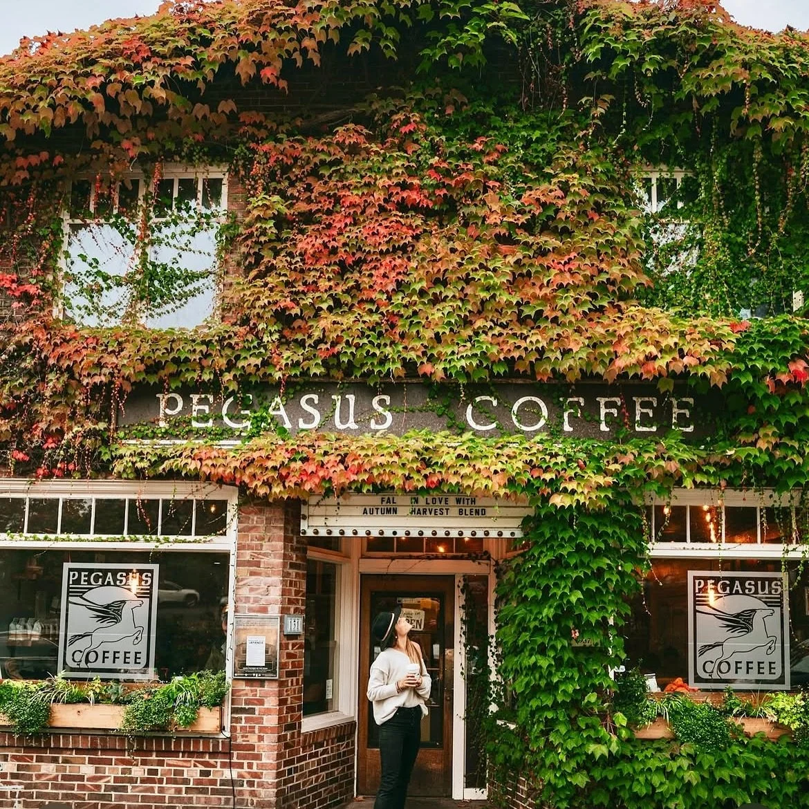 Small batch coffee scene on Bainbridge Island ☕️

📸 @pegasuscoffee 

#poulsbowashington #bainbridge #kingstonwa #suquamish #seattle #kitsap #winslow #gigharbor #vashonisland #fridayharbor #victoriabc #porttownsend #sequimbay #rochharborresort
