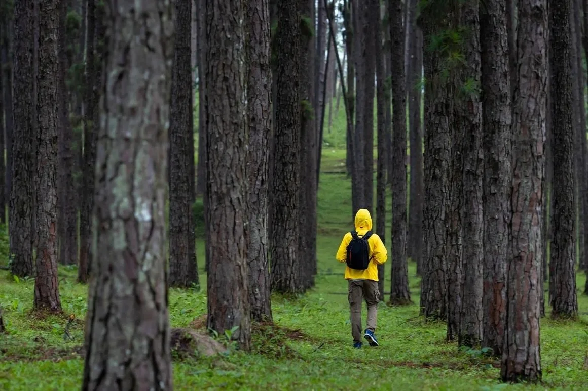 No umbrellas needed. The PNW.

#poulsbowashington #bainbridge #kingstonwa #suquamish #seattle #kitsap #winslow #gigharbor #vashonisland #fridayharbor #victoriabc #porttownsend #sequimbay #rochharborresort #whidebyisland
