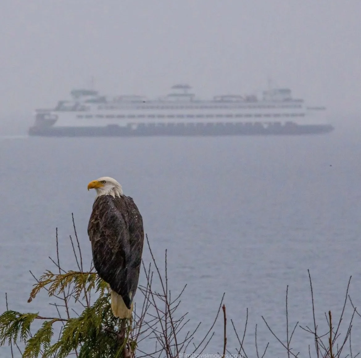 February on the islands 🌙 

📸 @visitkitsappeninsula