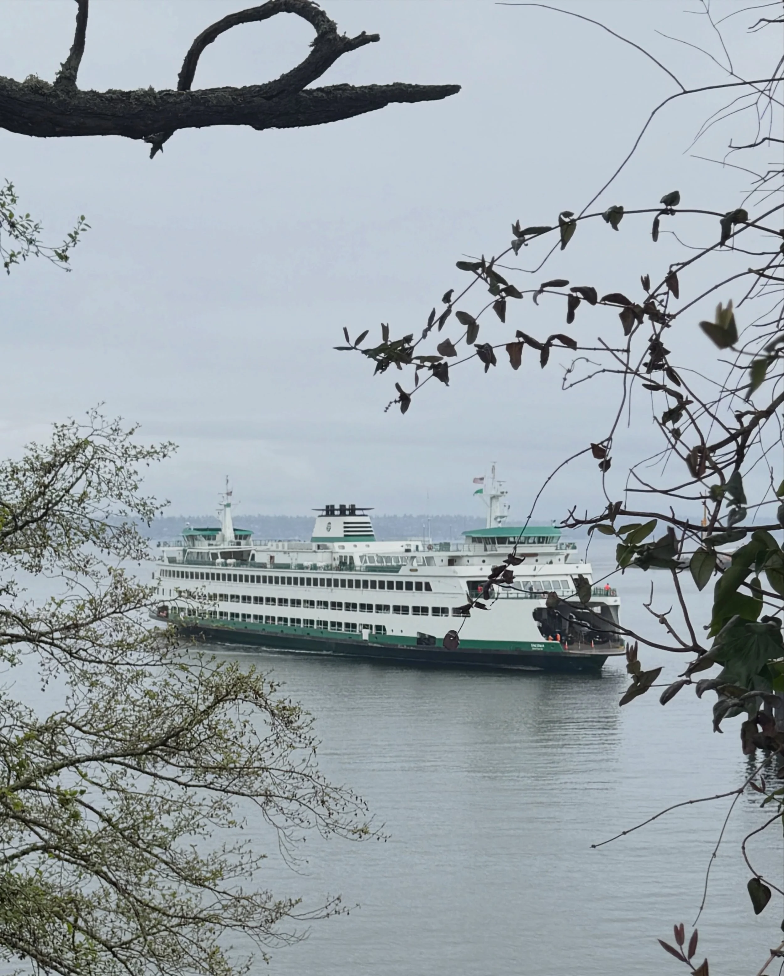 On time, gliding into Eagle Harbor ✨