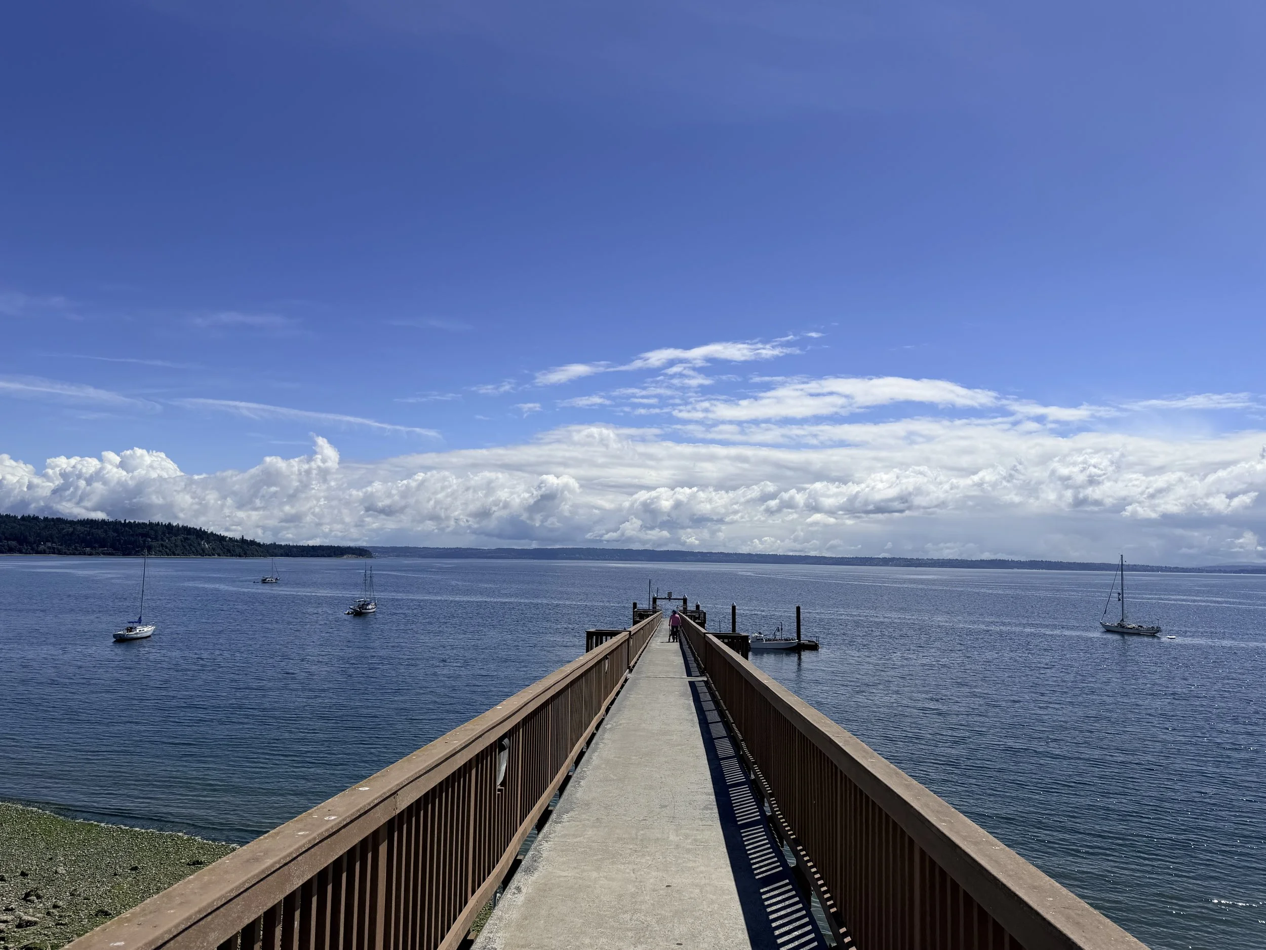 IMG_6581.jpeg