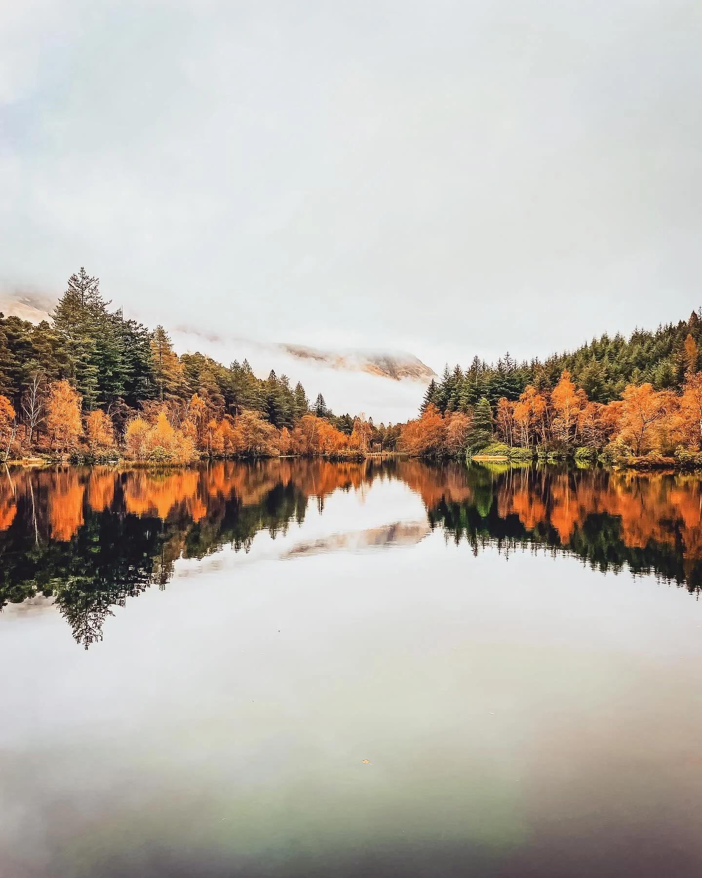Autumn in the Highlands

#autumn #scotland #highlands #glencoe #symmetry #nature