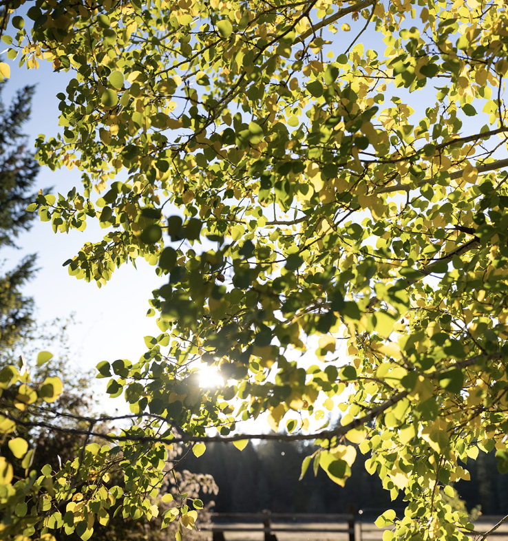 Screen Shot 2025-10-14 at 9.10.35 PM.png