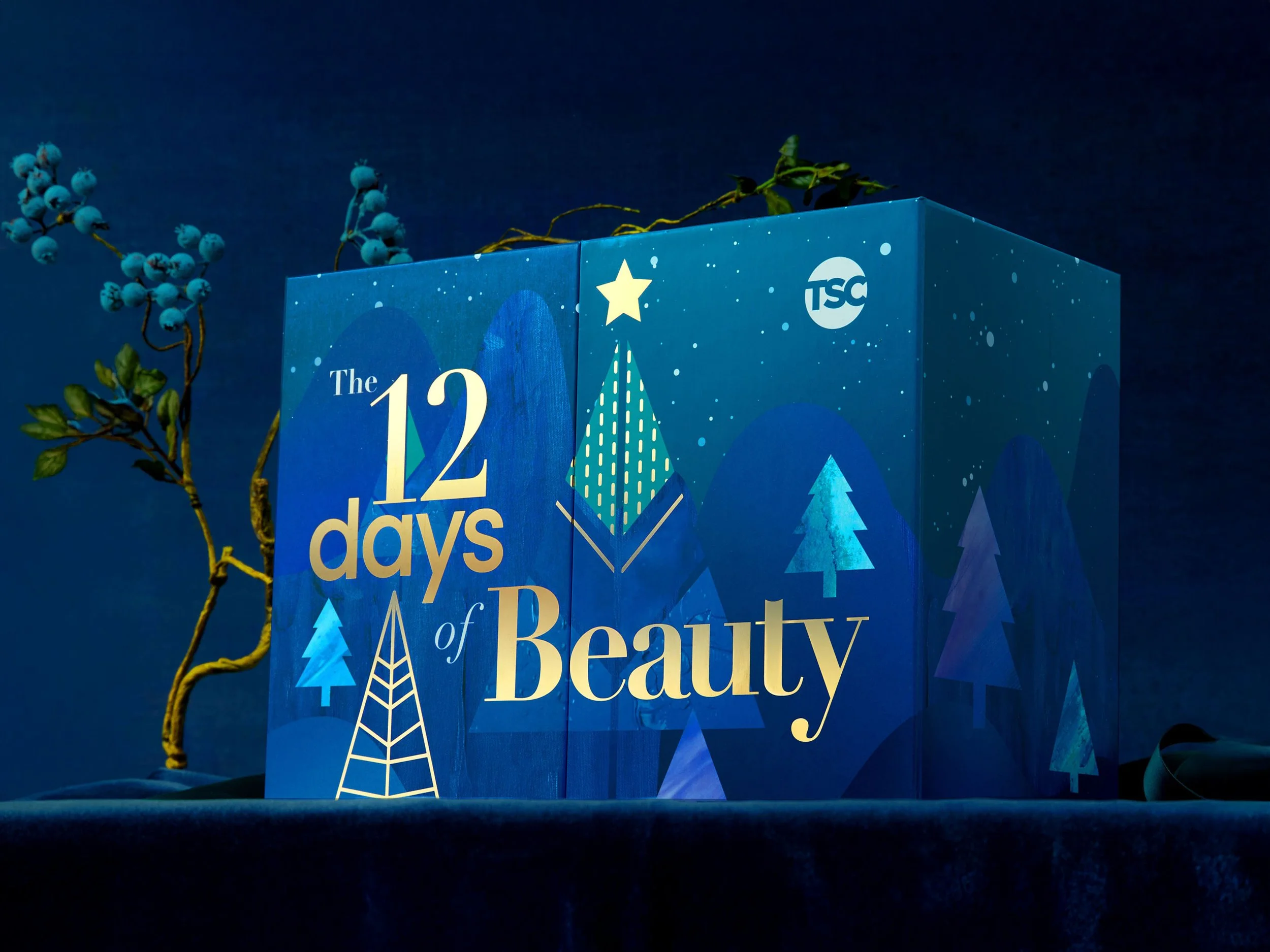 TSC Holiday Campaign – Limited-Edition Advent Calendar Packaging Design