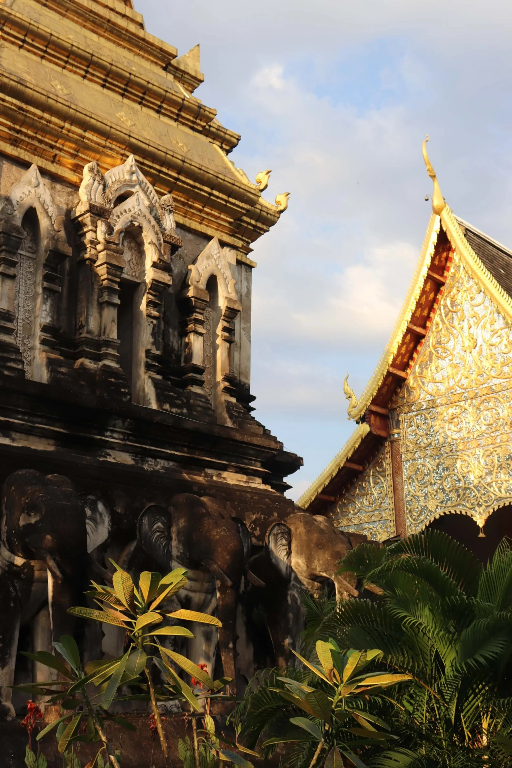 ChiangMai 2.jpeg