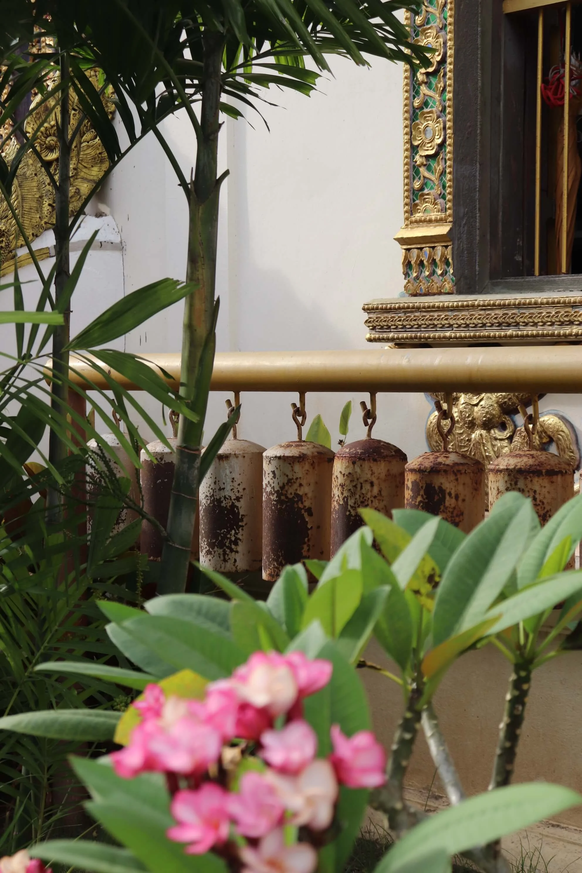 ChiangMai 6.jpeg