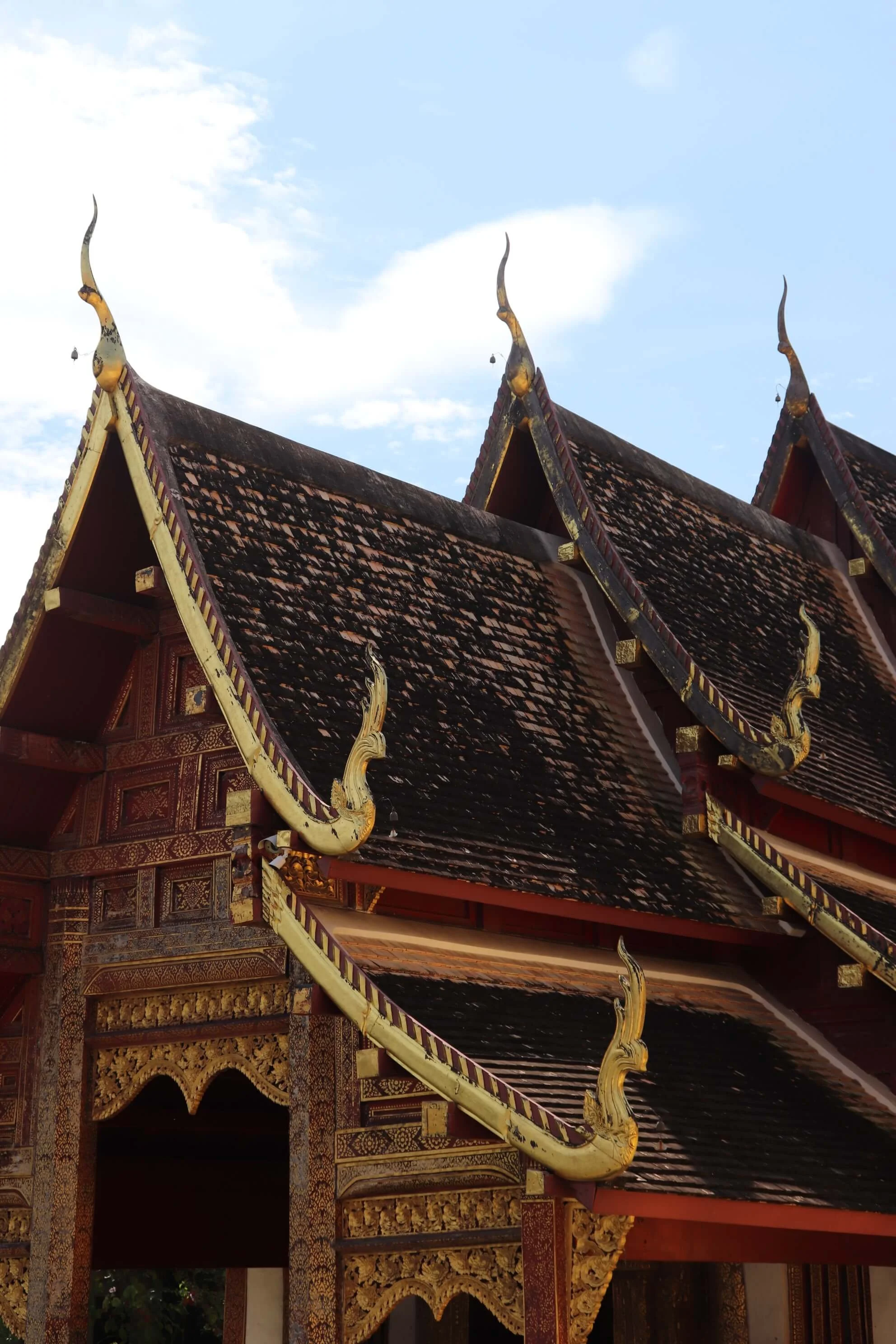 ChiangMai 8.jpeg
