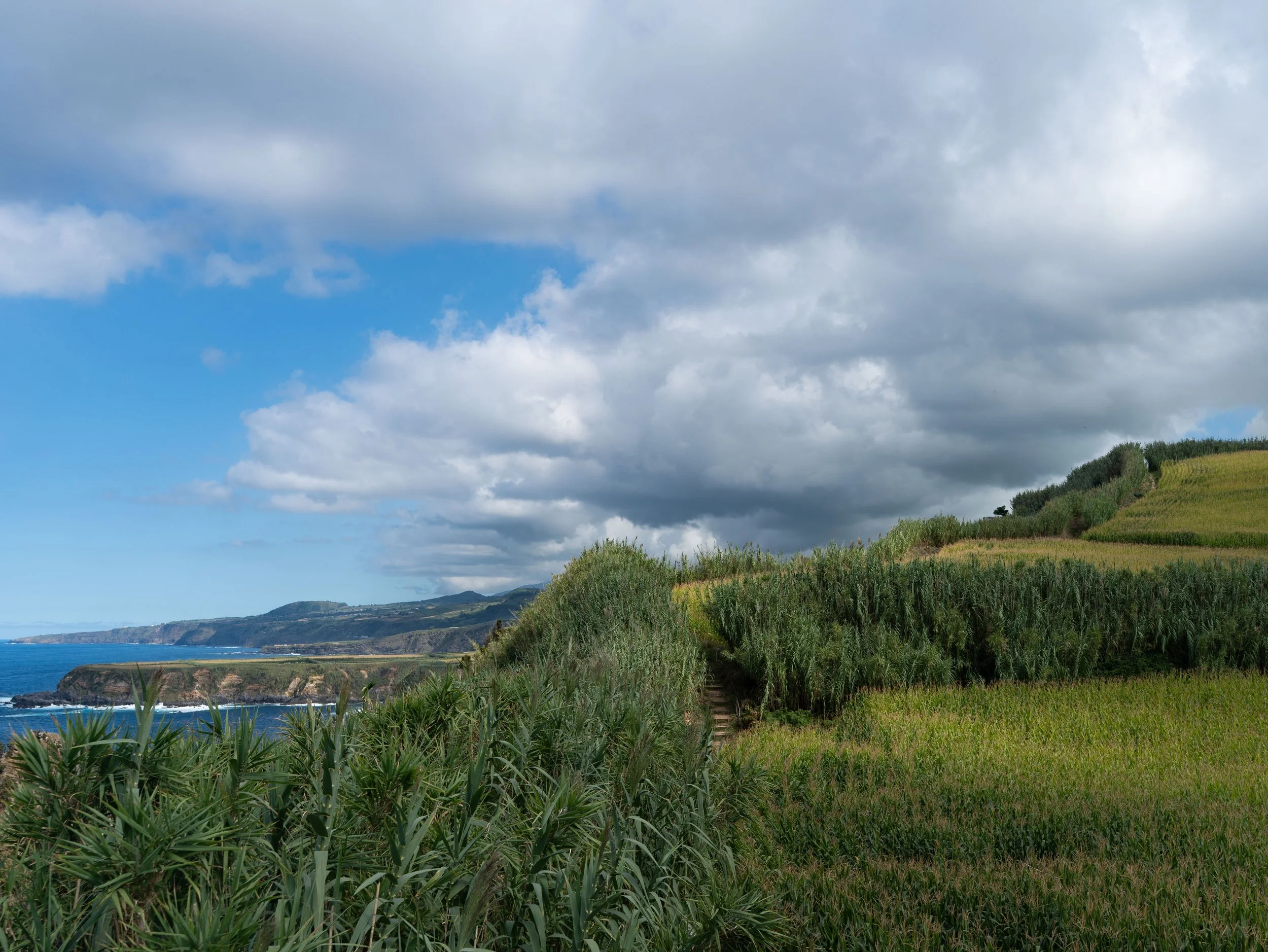 DSC03923_1.jpg