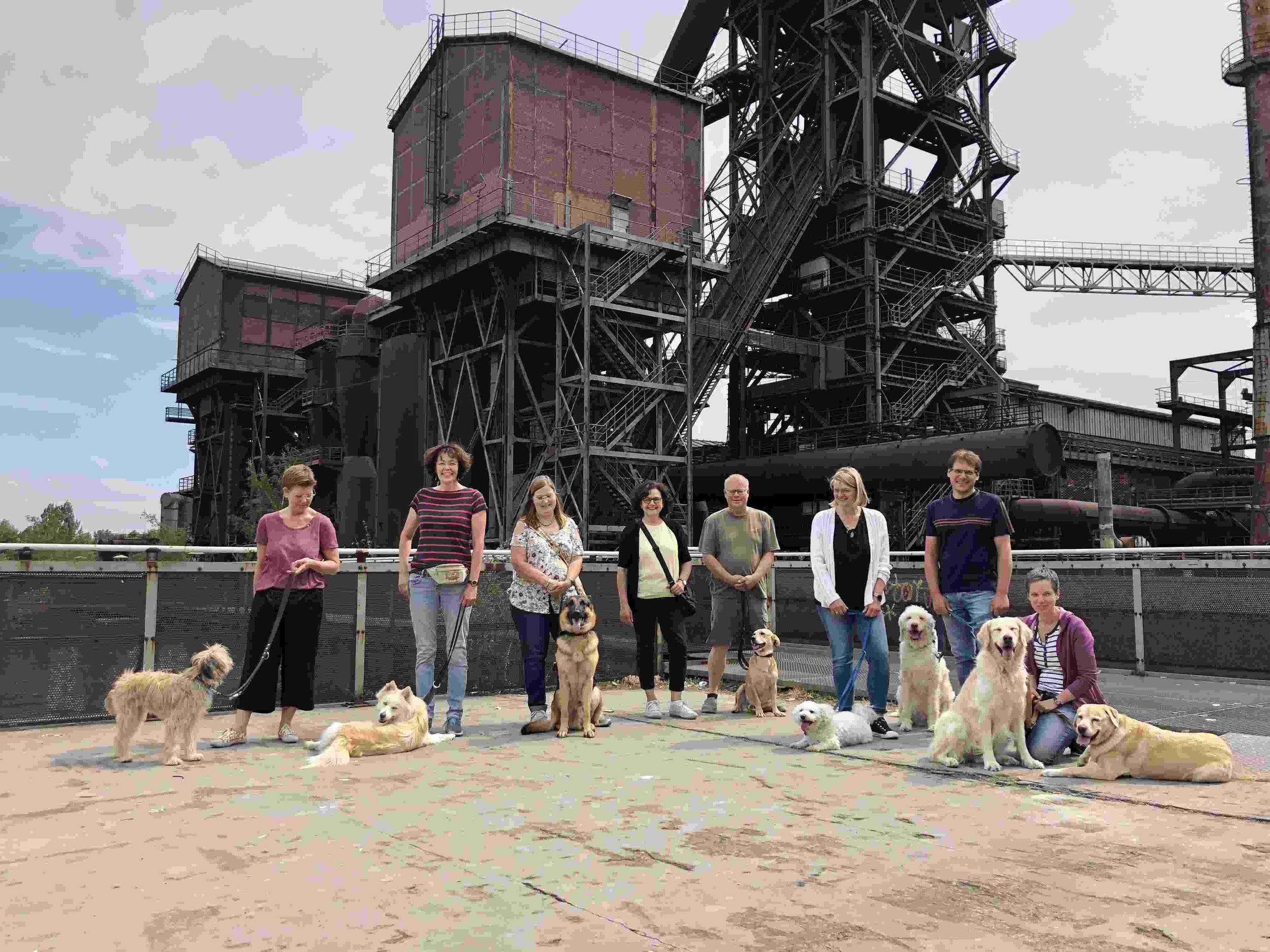 Hundegruppe im Landschaftspark.jpg