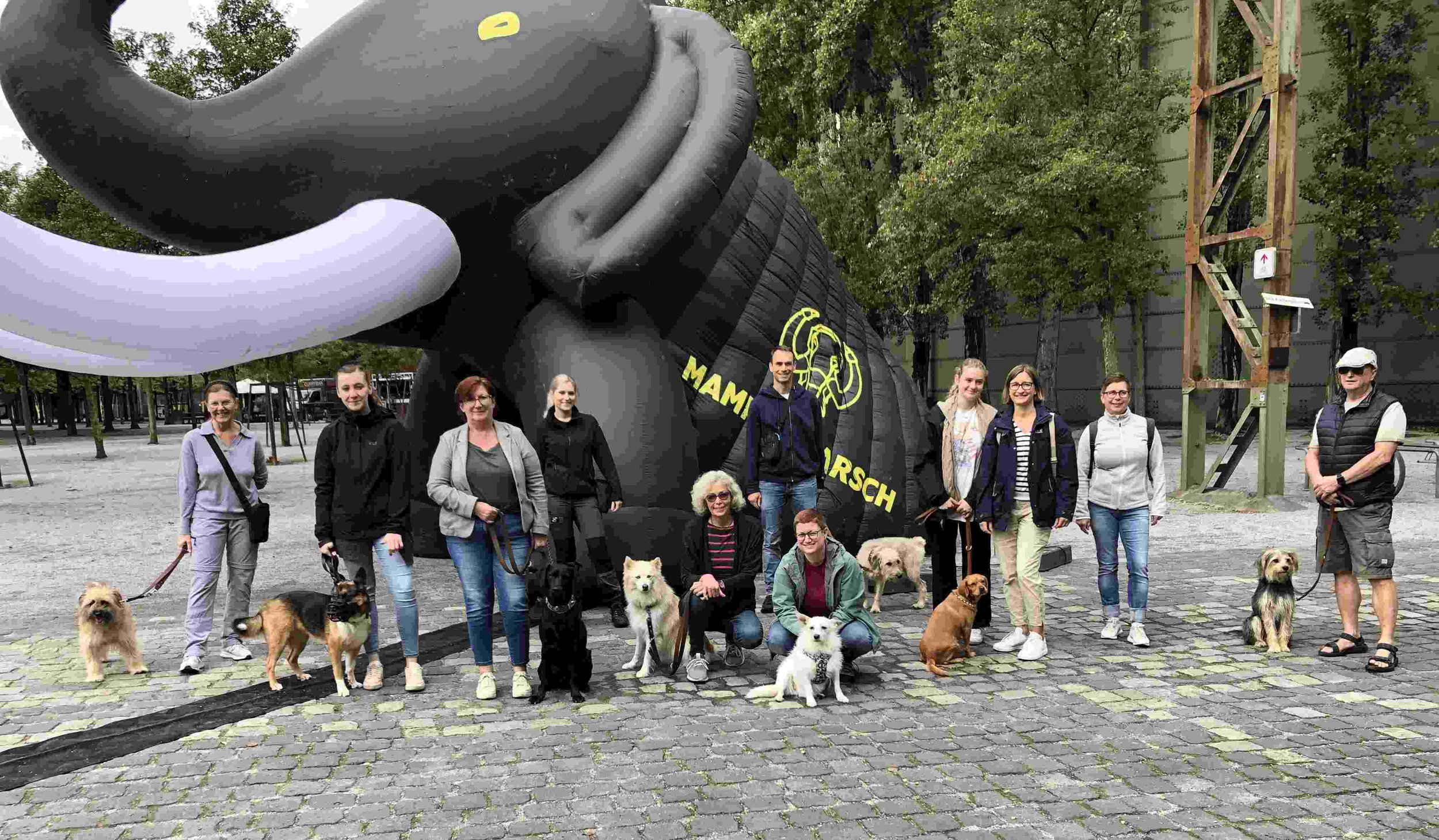 Hundegruppe am Landschaftspark.jpg