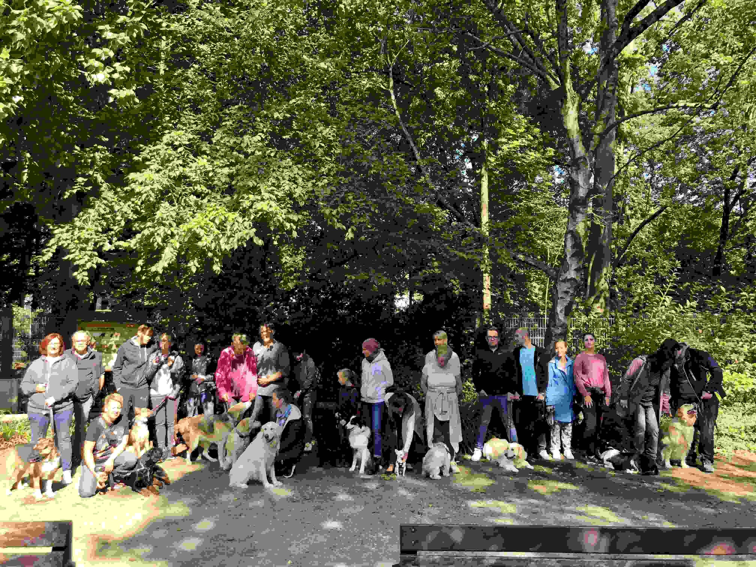 Hundegruppe im Wald.jpg