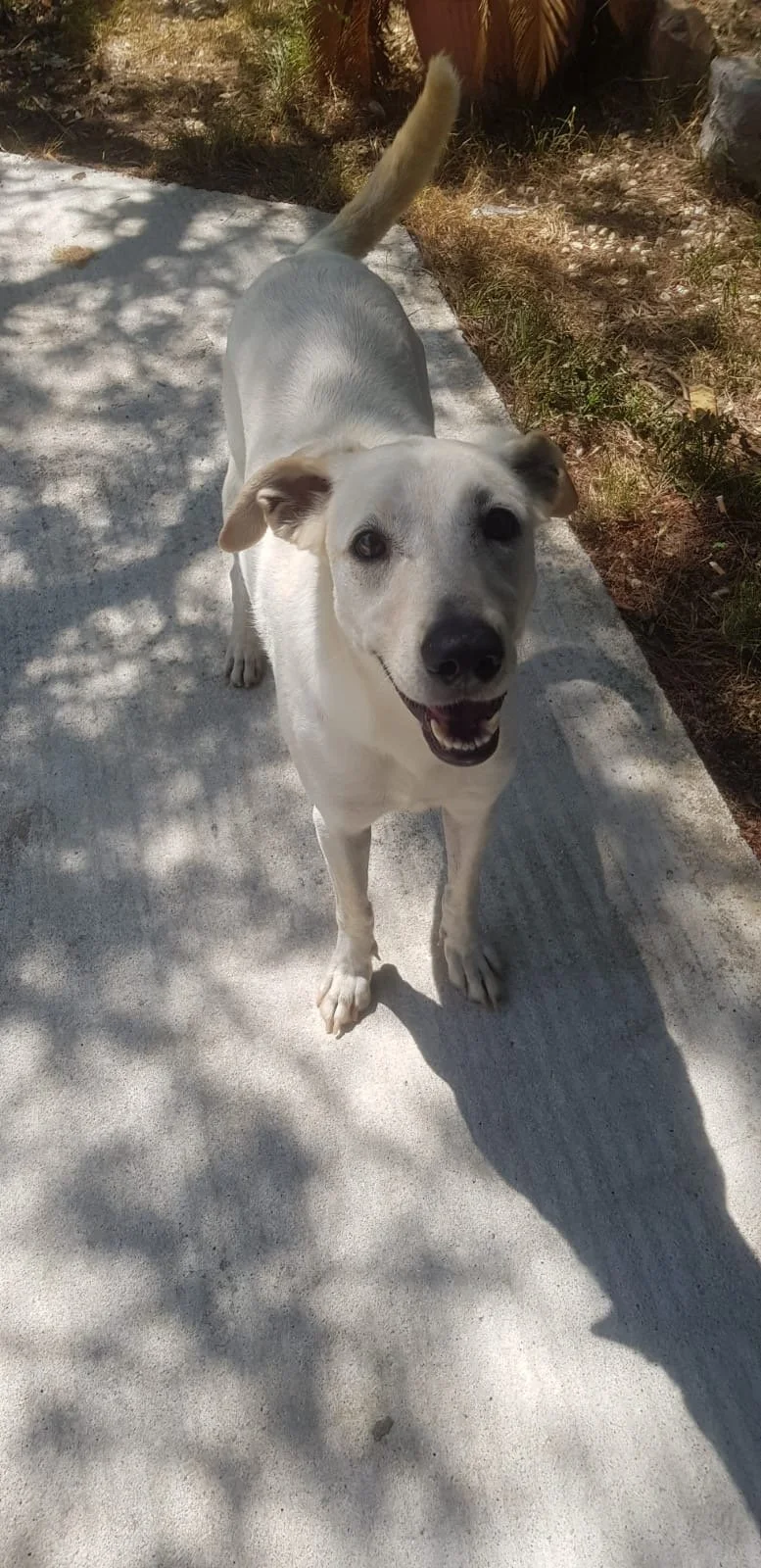 Sofia aus Mülheim.JPG