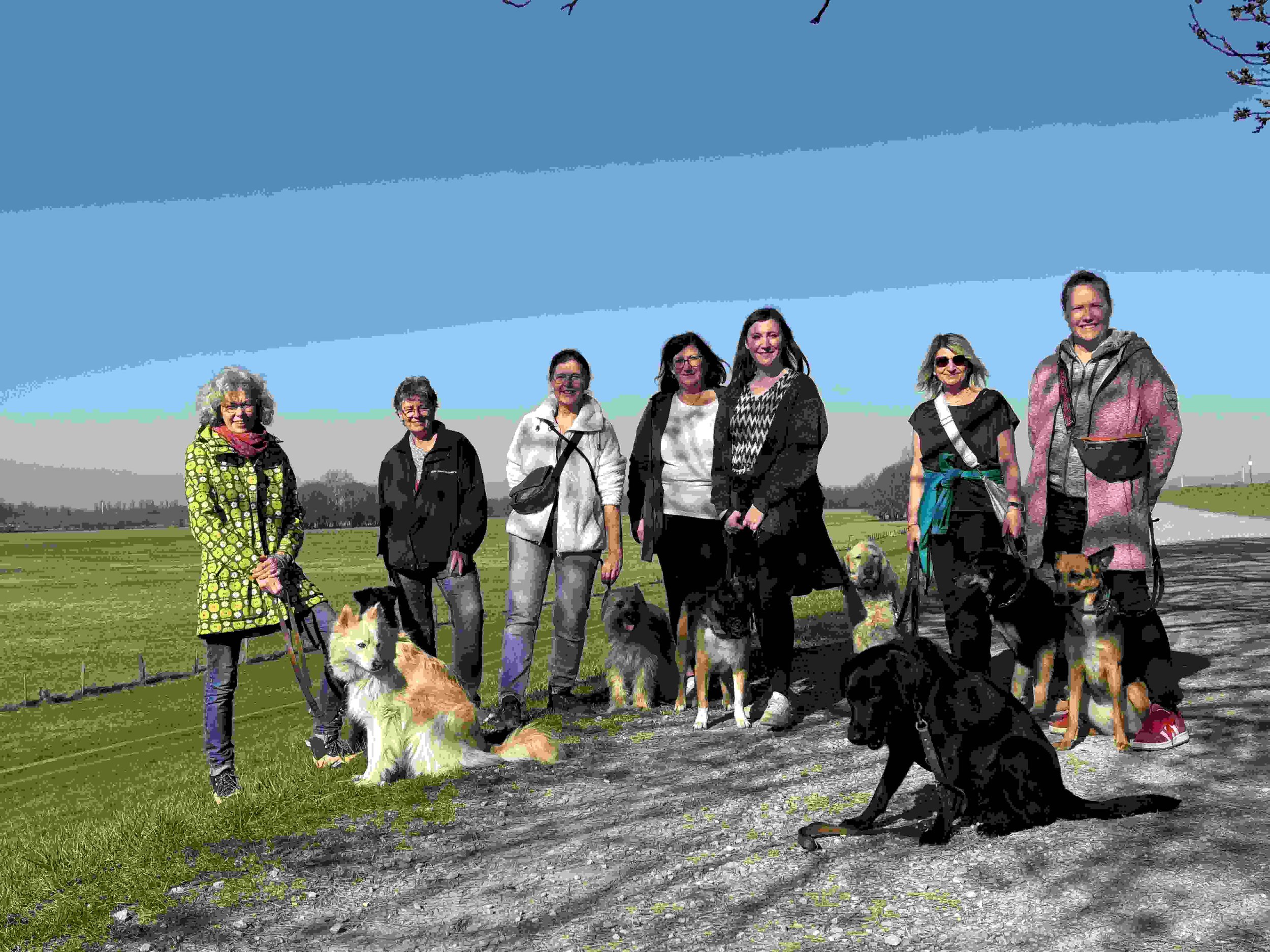 Hundegruppe in den Duisburger Rheinauen.jpg