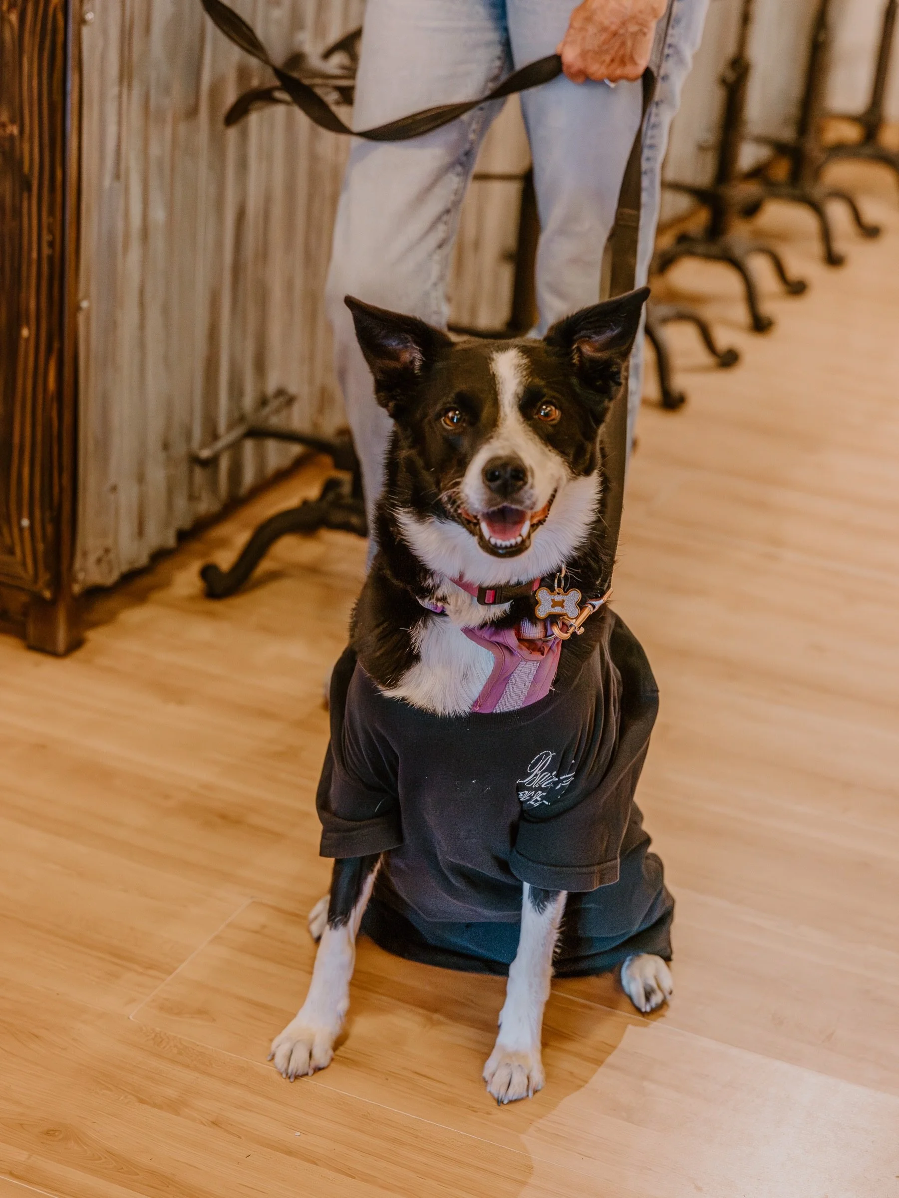 Psst&hellip; have you told your four-legged friends yet? 

We&rsquo;ve officially added a couple of tasty treats to the menu and they&rsquo;re made just for your pups! Because they deserve a little something special at Barrel 33 too. 

Bring your bes