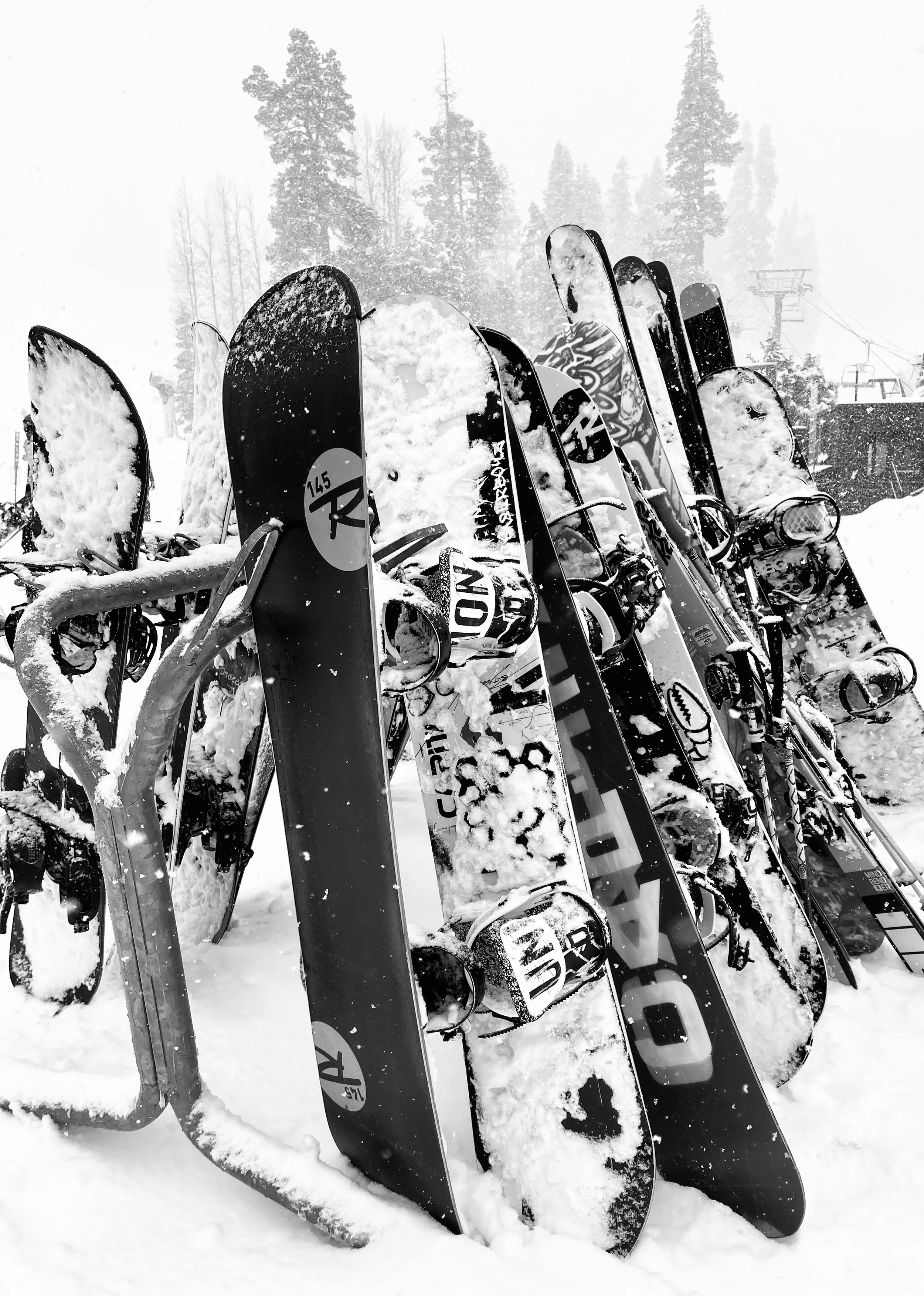 snowboards.jpeg