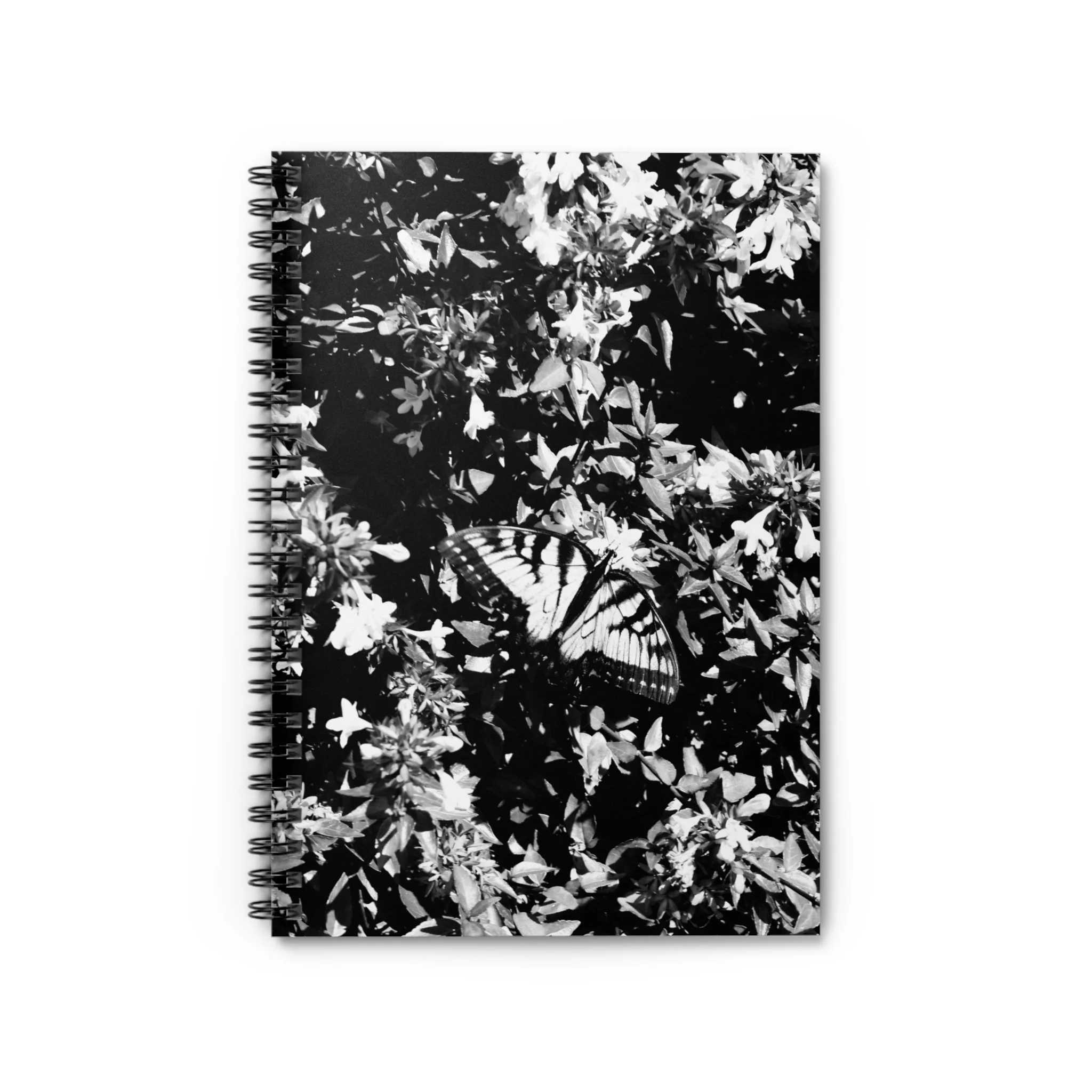 ef03b7d53f0dc5246bee8e2d854358f1