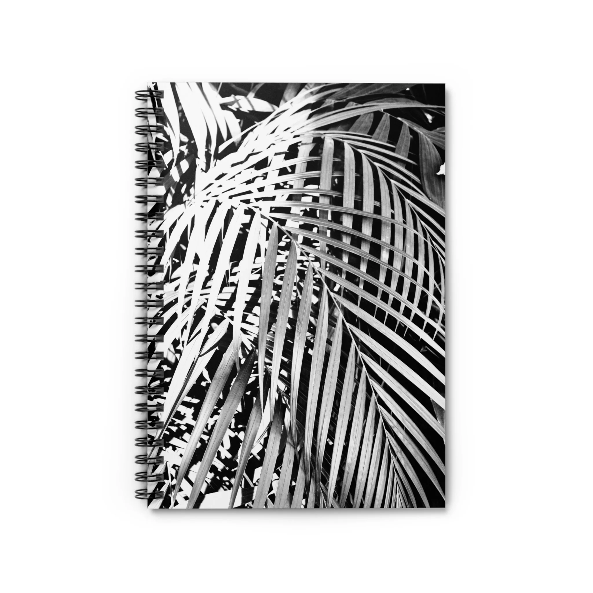 d81455f5b4b7fd0c4bbe967bc5af10e2