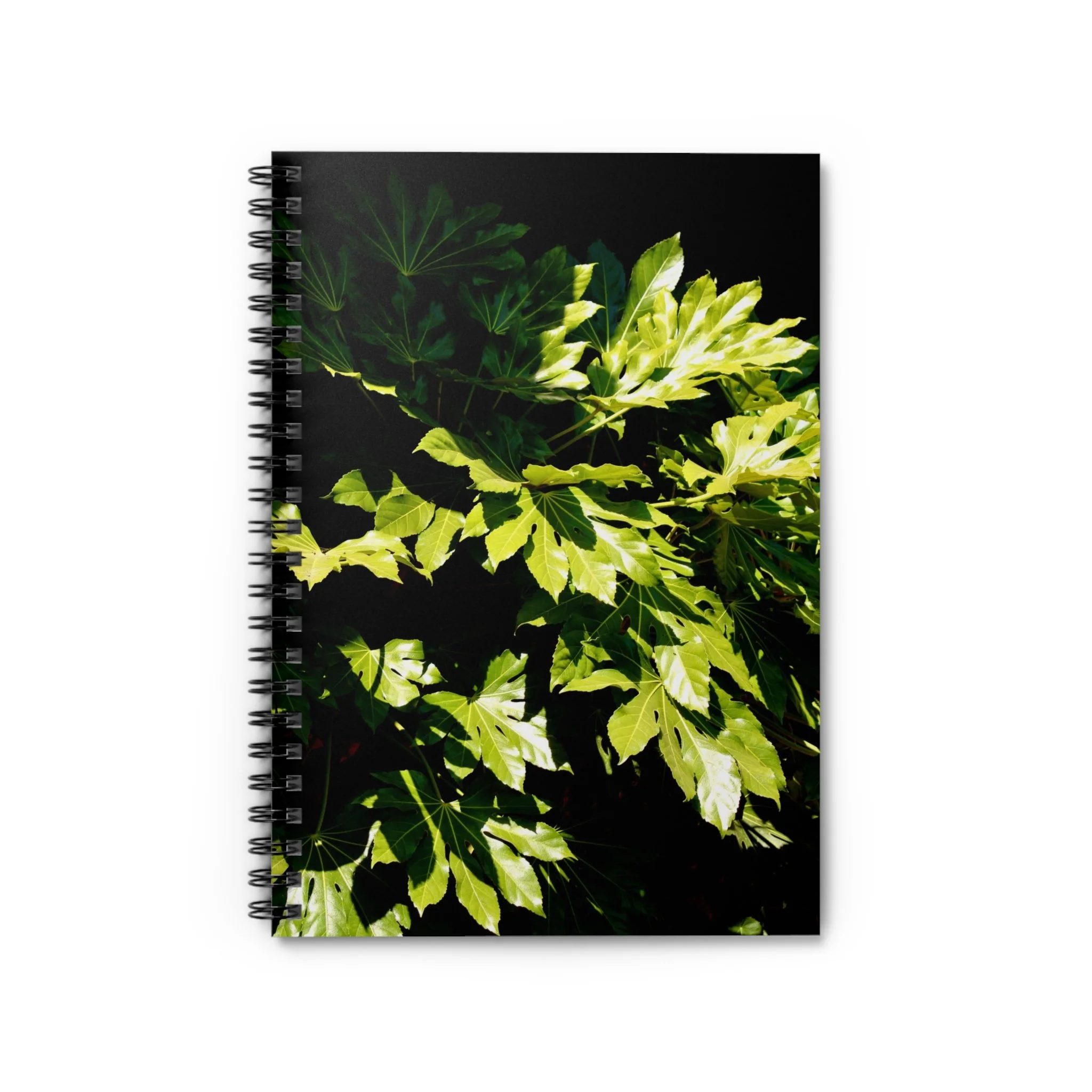 771df2e9d9249053cf4c2fe8da4c158e