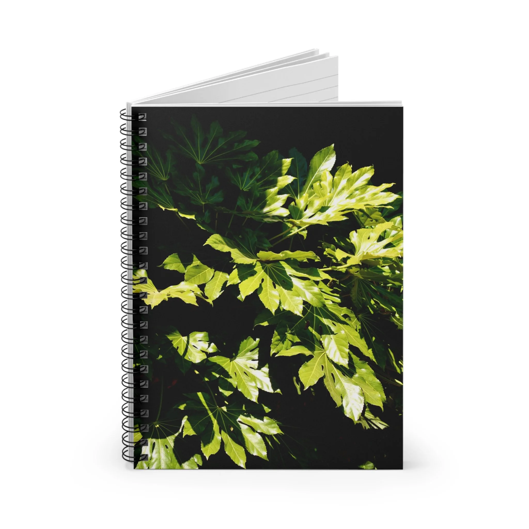 6b928bbbb9ba68aa20e0fe962e9b6068