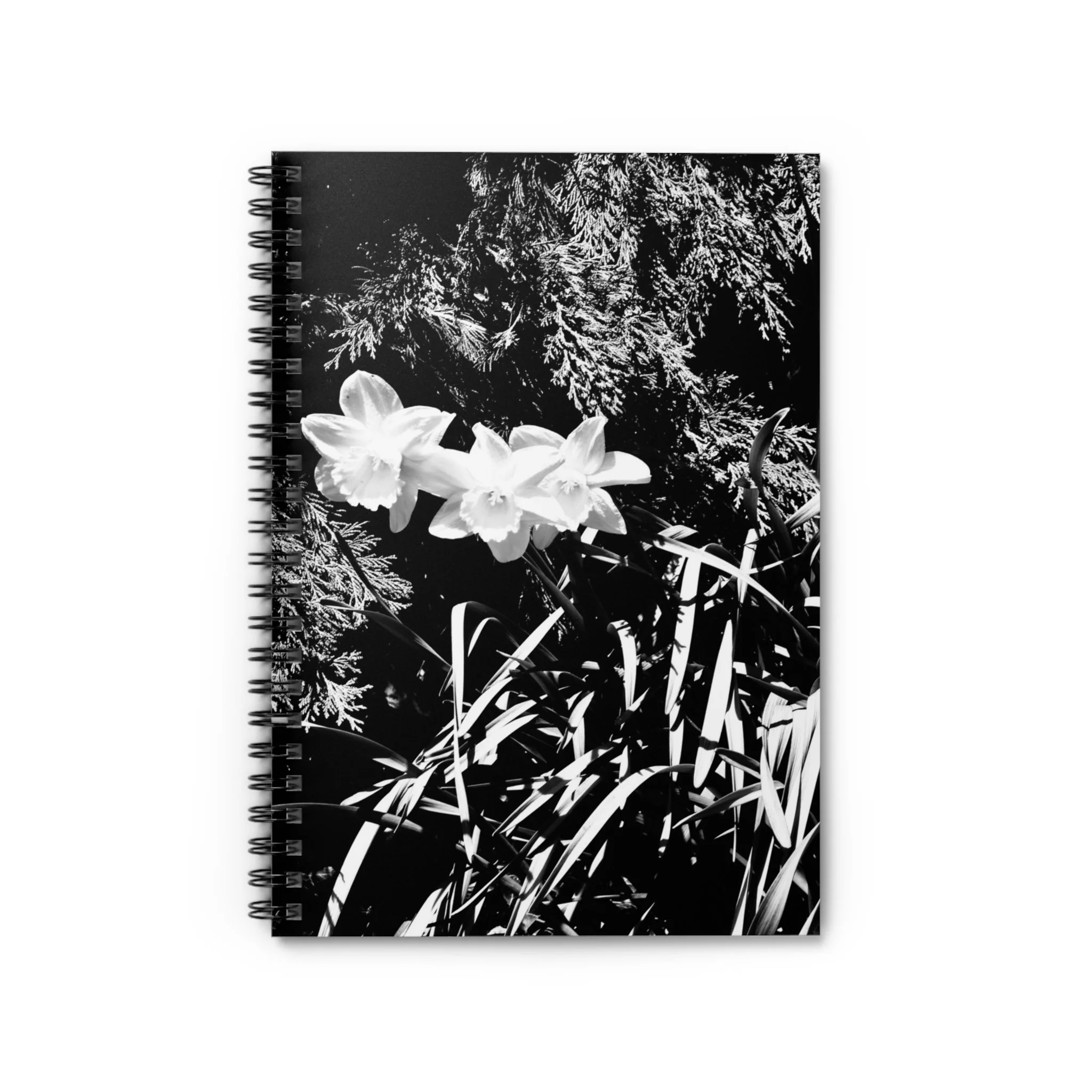 56ada29242a88a4d180e0d2abecdb2e1