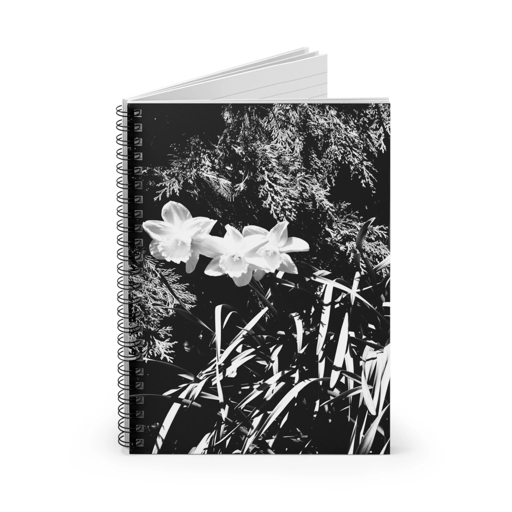 5299bf21b6bad1df0f60bc2a66aa9e38