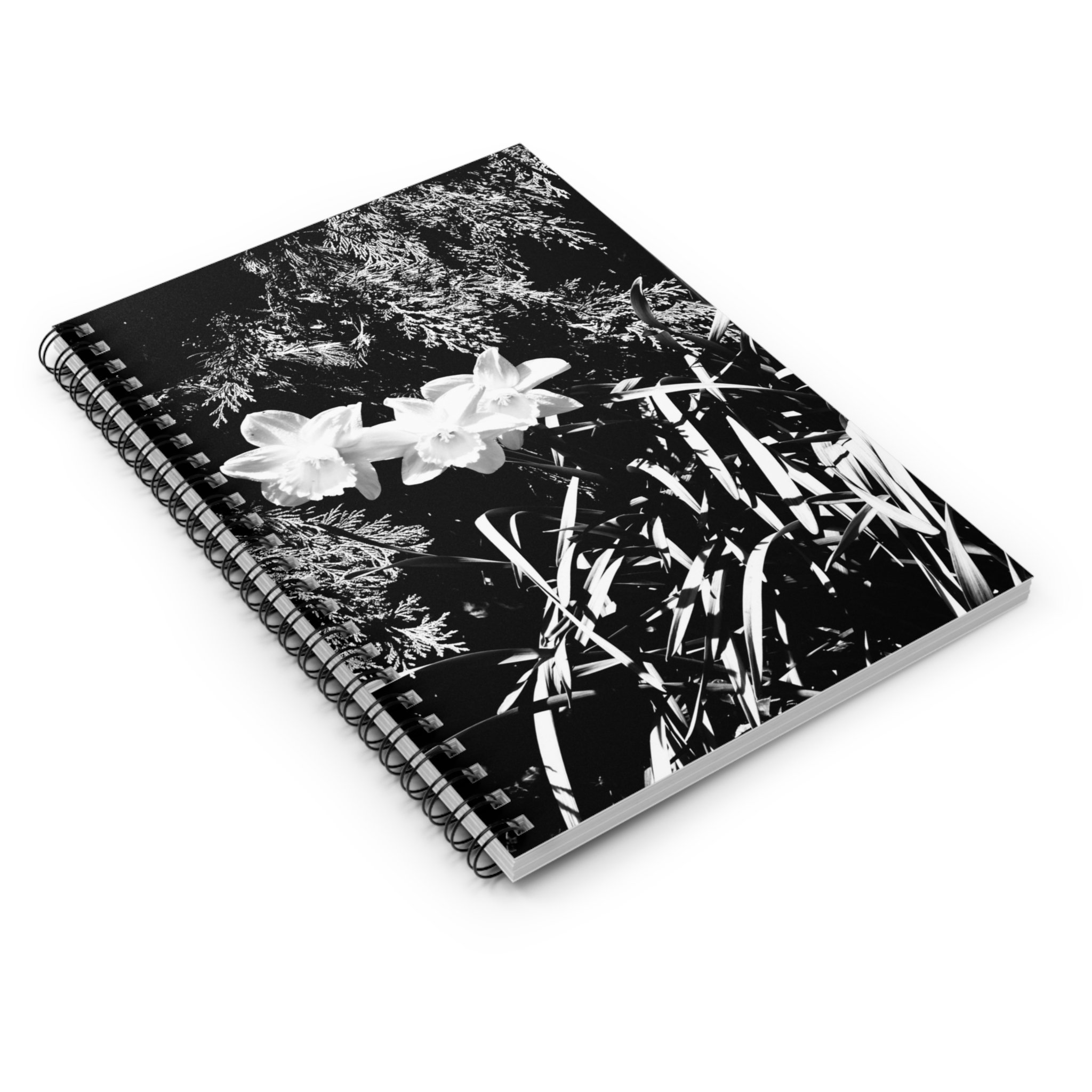 452deb4d9638e100802f586c4685b256