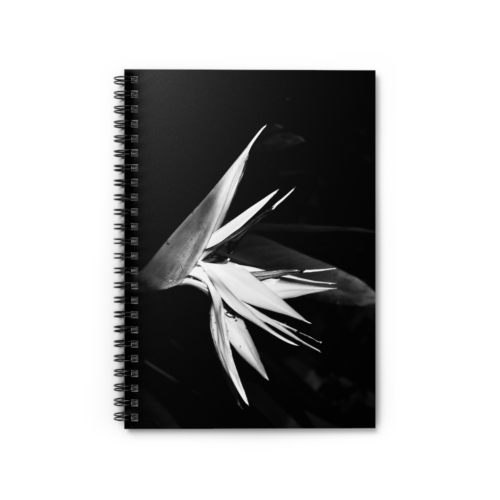 7dd7860b47194ebc5dbc1ea8b20bf10a