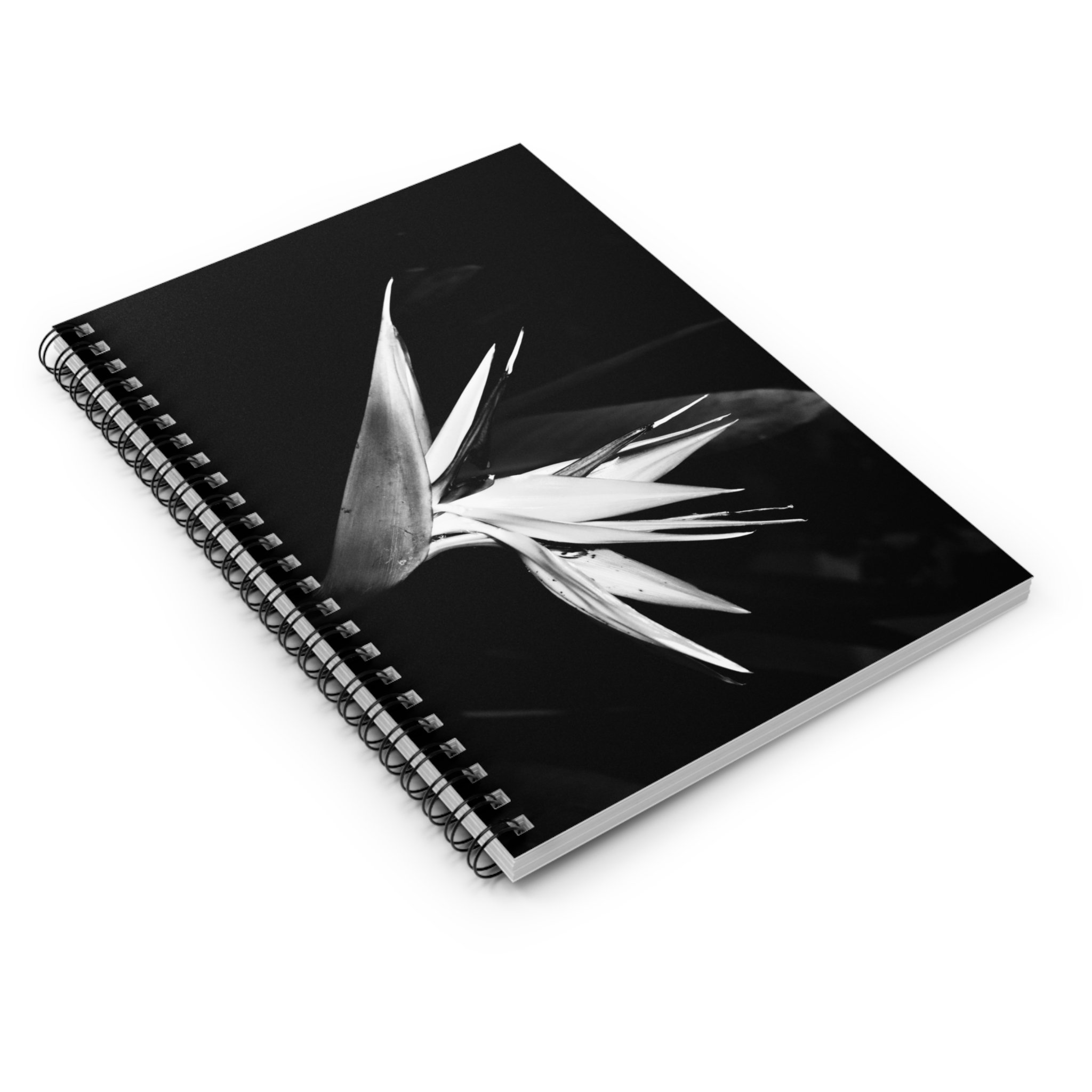 bfc5416dec19ecbe22981289167d749e