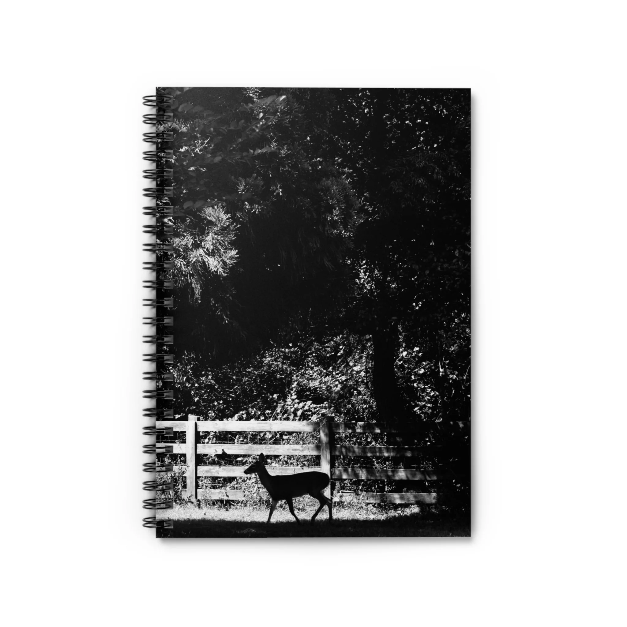 024d5036105217b5312baa6513aeaeb9