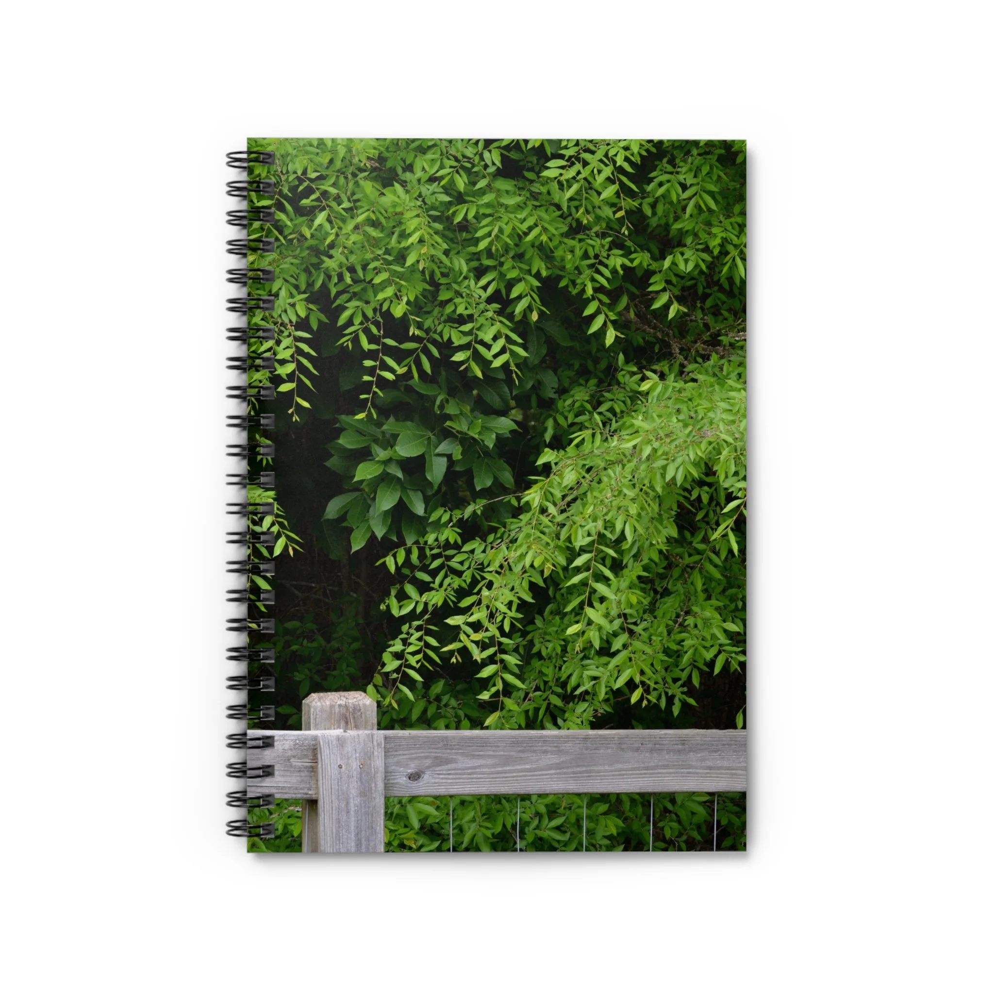 a06fe5a748e0064f8b8763957b931cbb