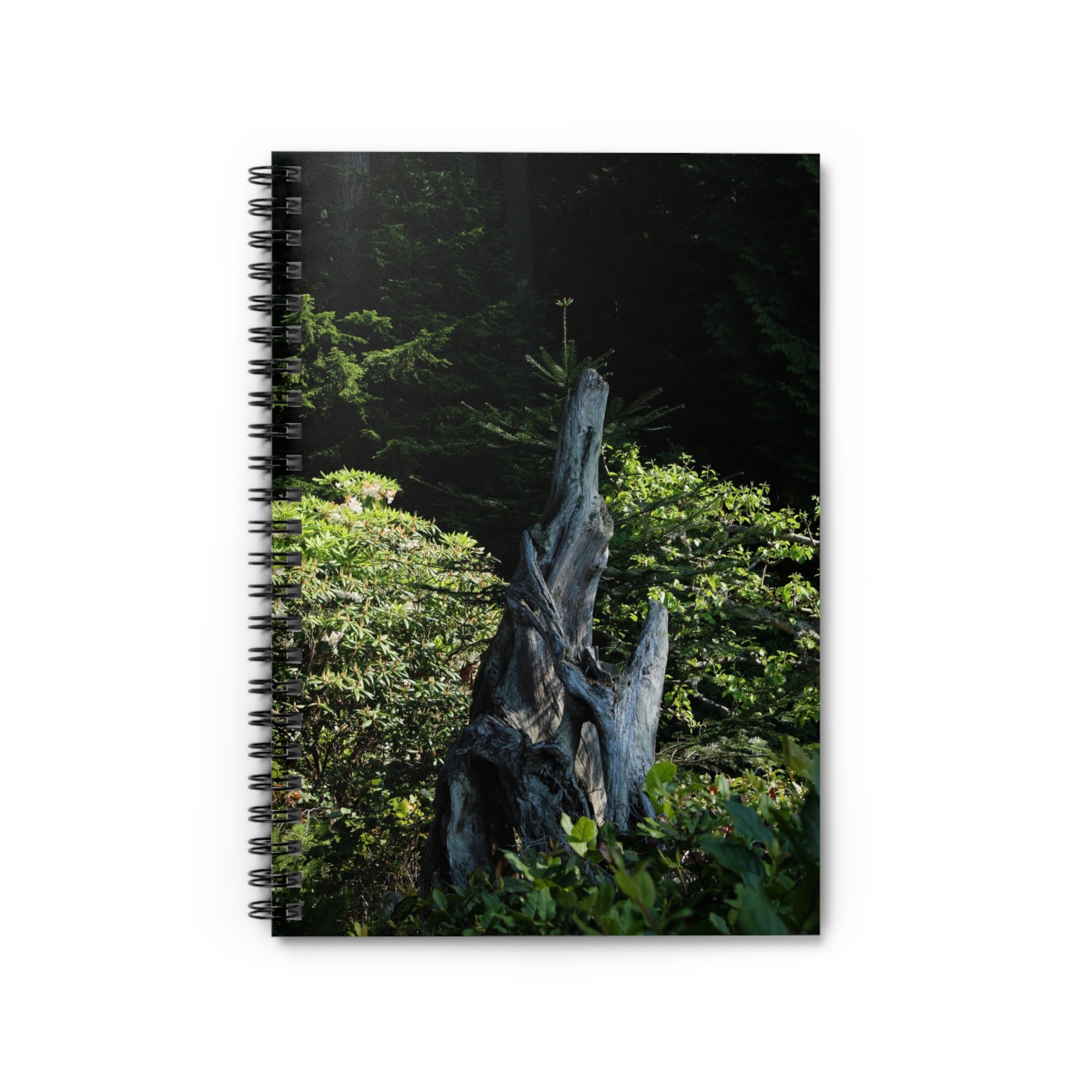 0a885ac2fab1619b2d9d72224d4e6b07