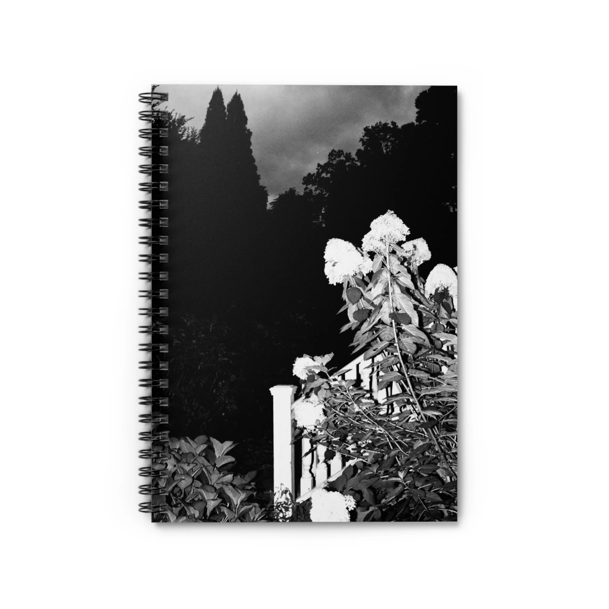 85e64c1cc8eef137849ede5ca93ecbfb