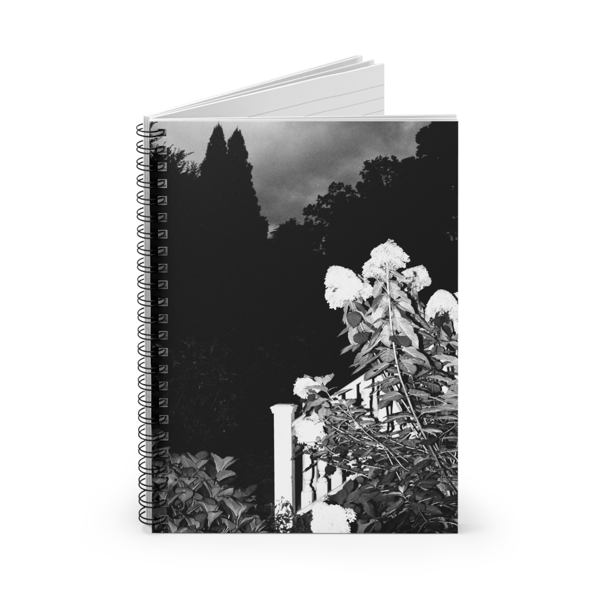 dde746d906698646f937107bde58ef32