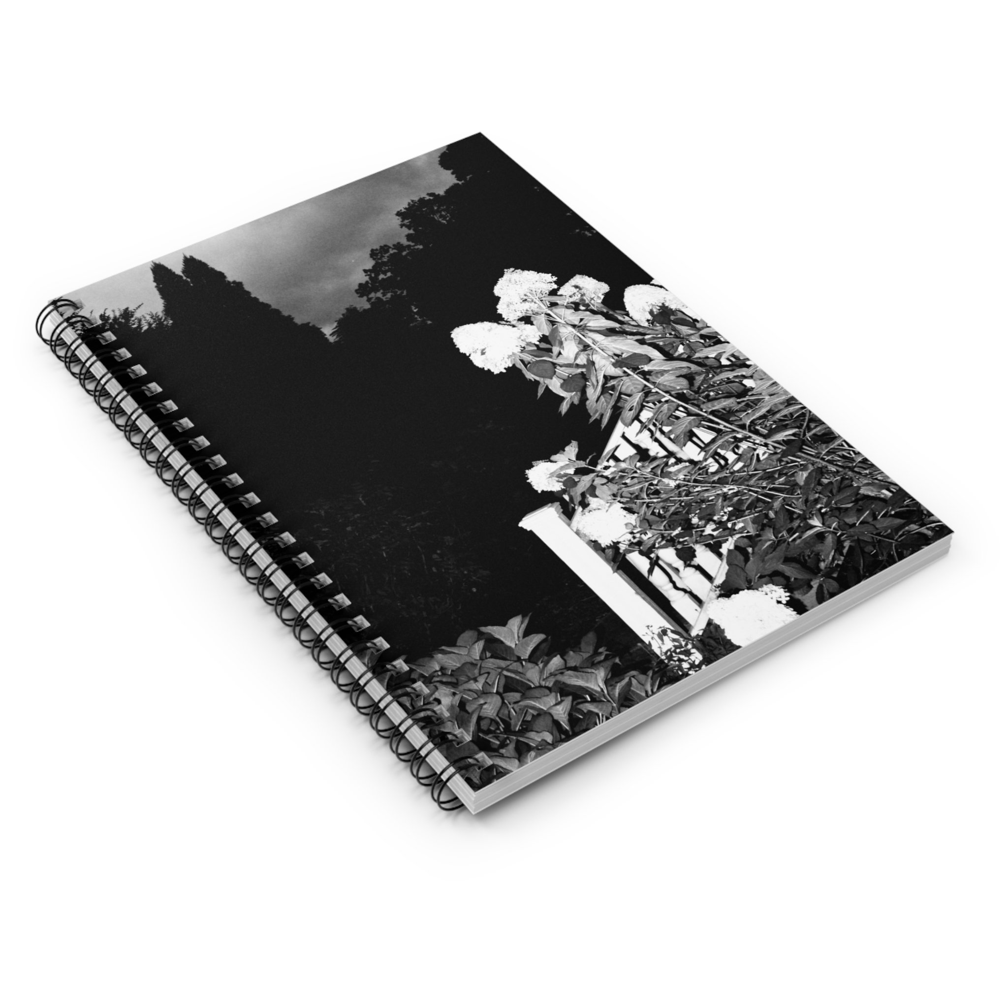 cb9535fe9986efeeec25d2bb34de0449