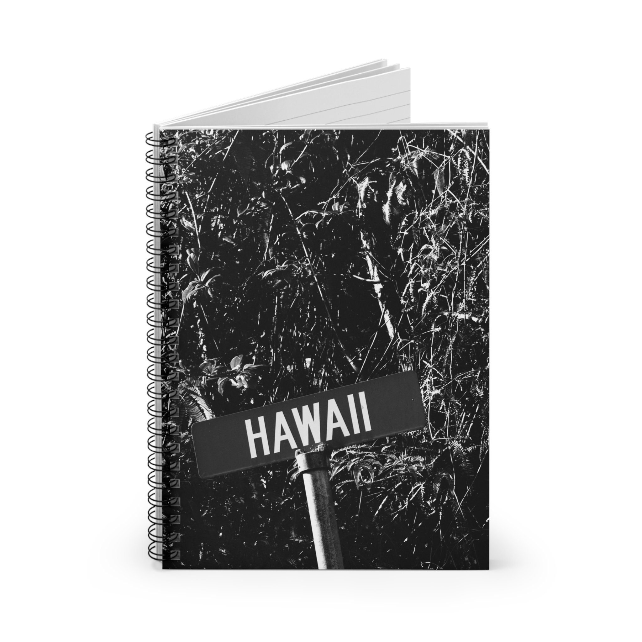 3f91e51101d2d14cbbd48e813bbf8884