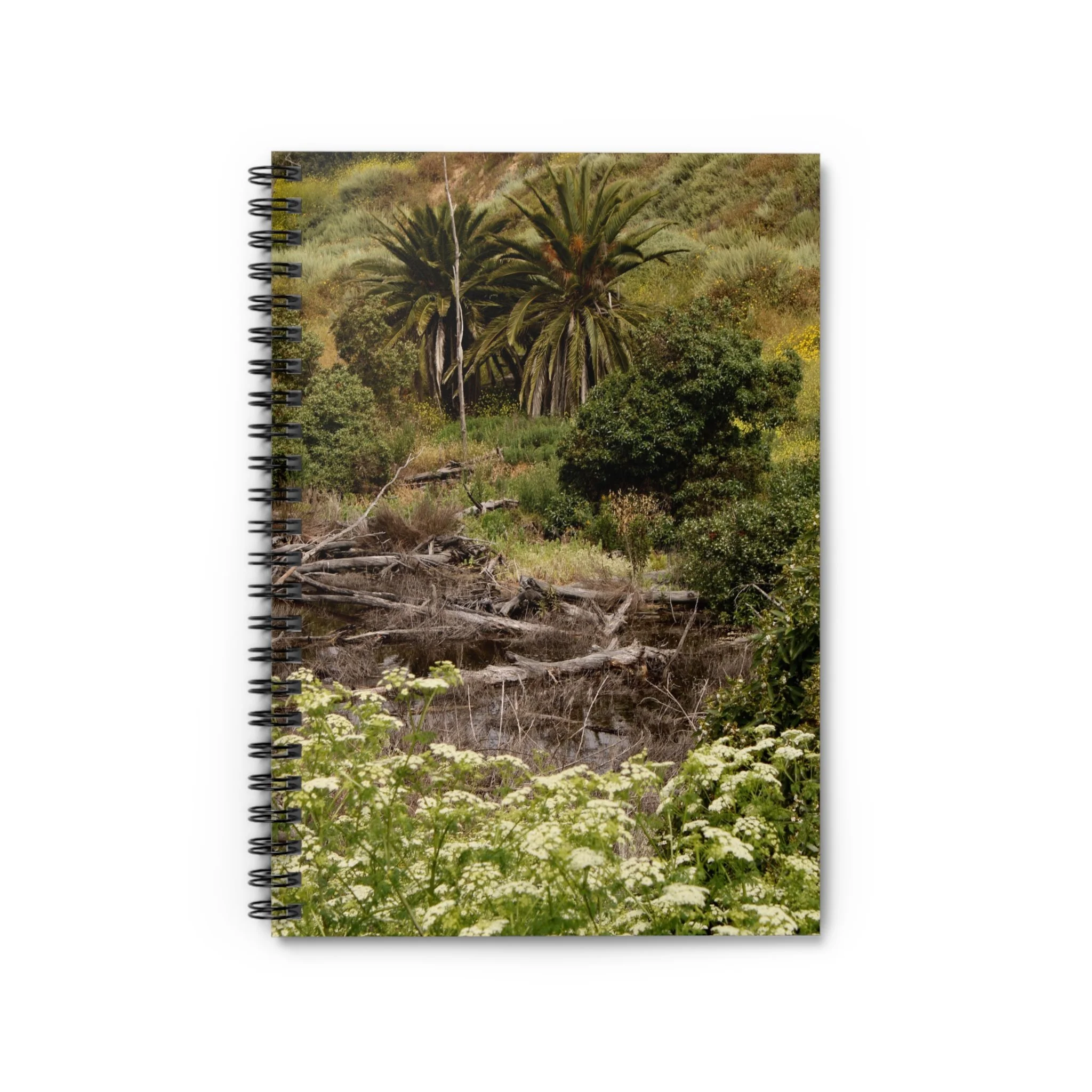 de18c4dfcda0a5145b4e84beec3ee0d3