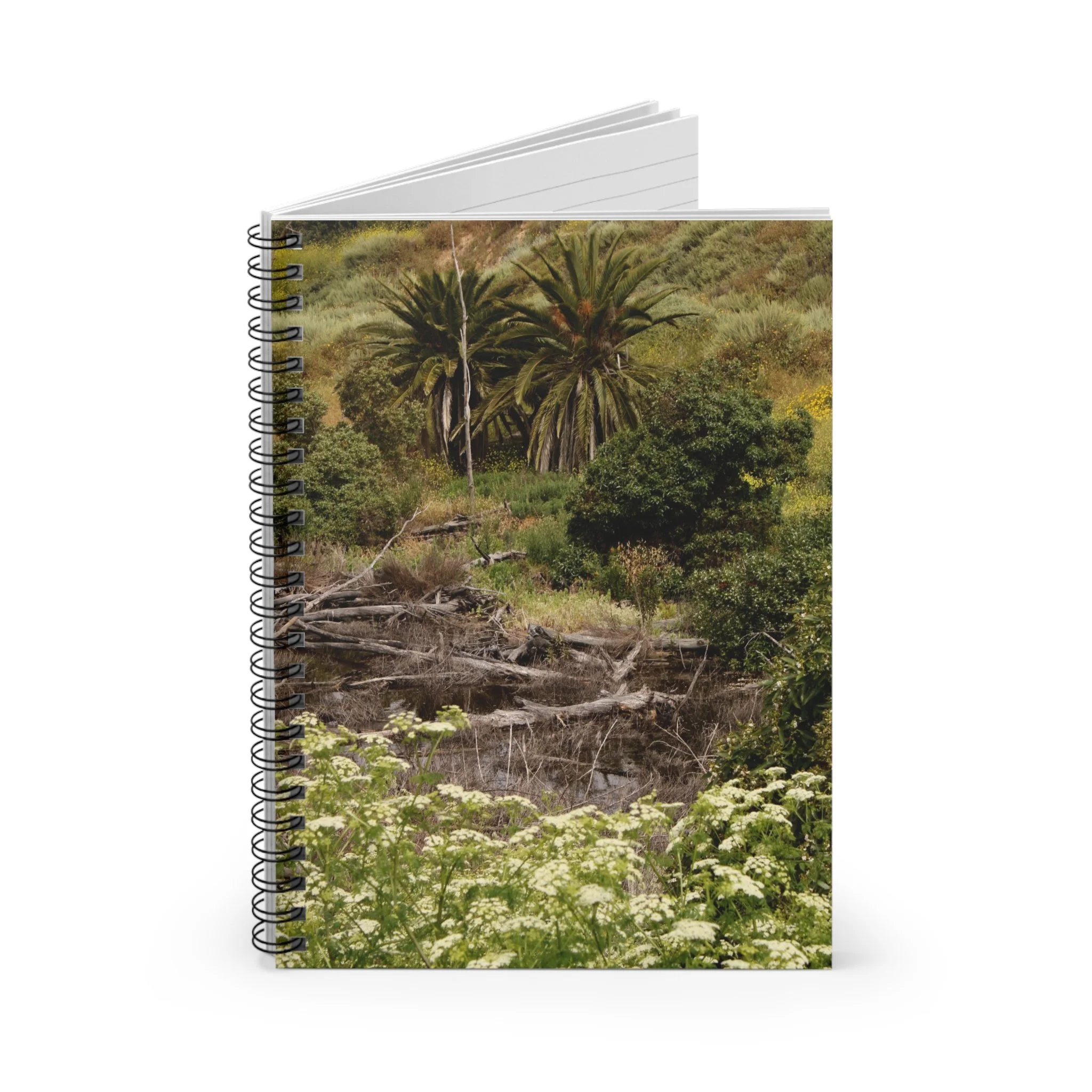 b8c5f6e3e56d09507cf503ee78c9283f