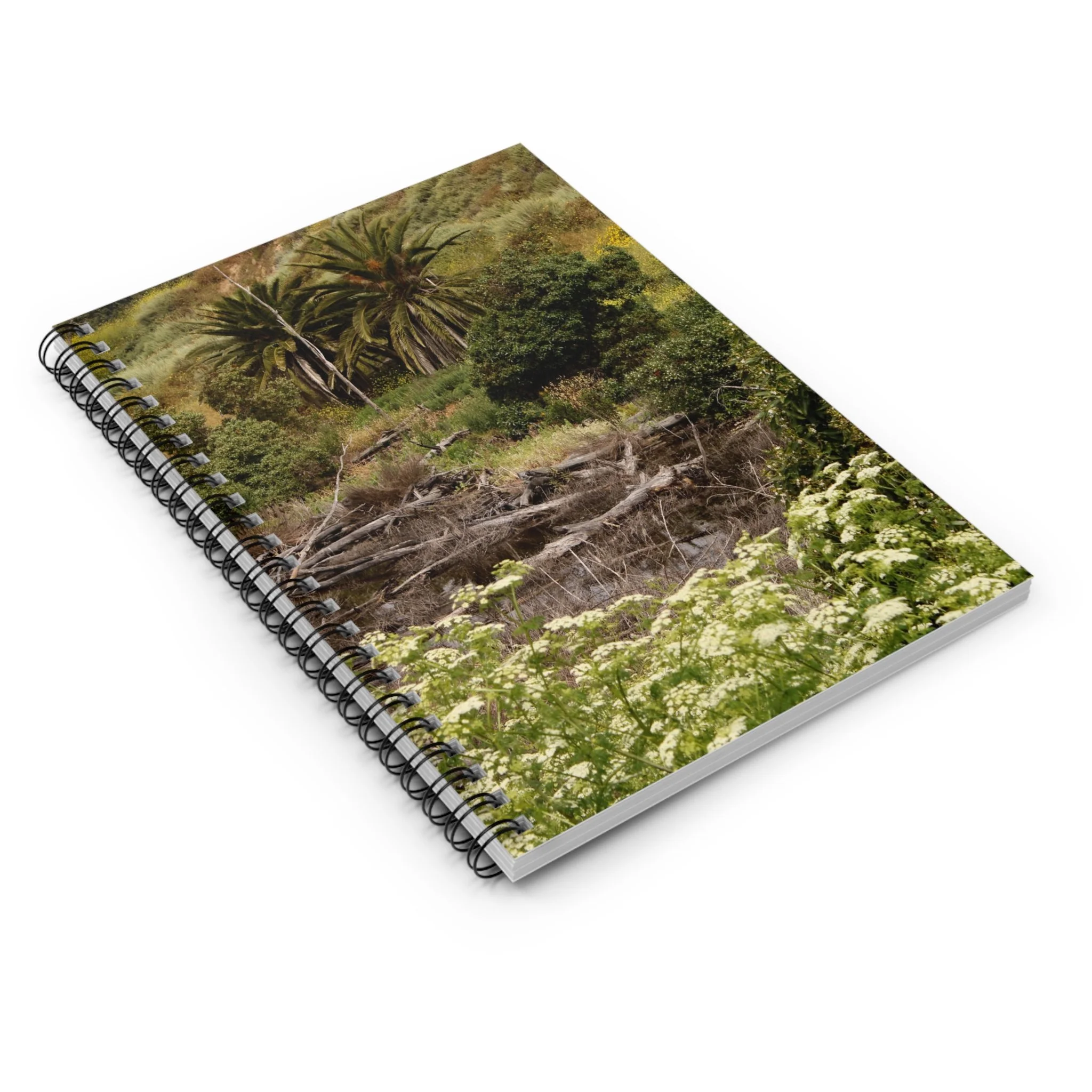 63fc2ea7f04f1feb6a0c09868c9740ee