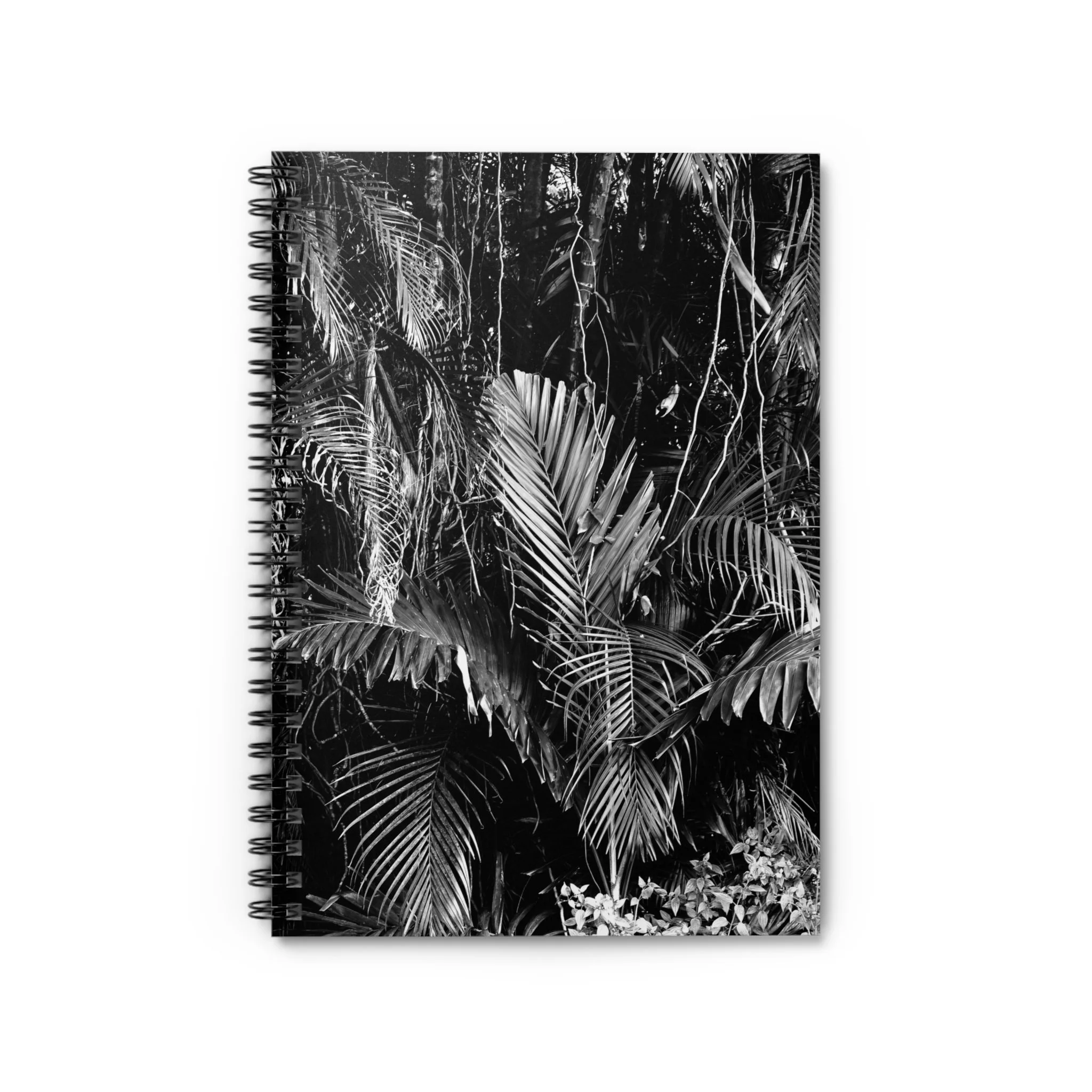 ede0f9ed8ad3b54e93042113d3f26958