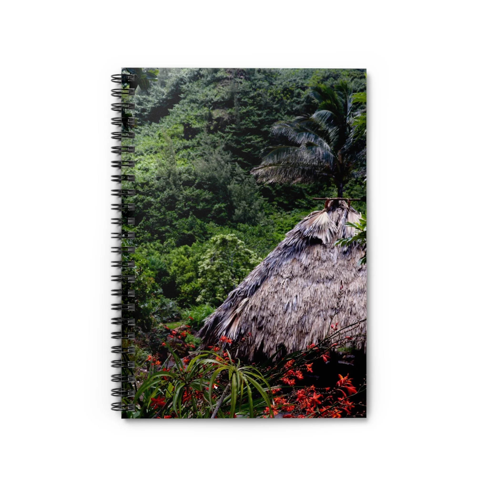 863cbf86300132a5c362c19bff576212