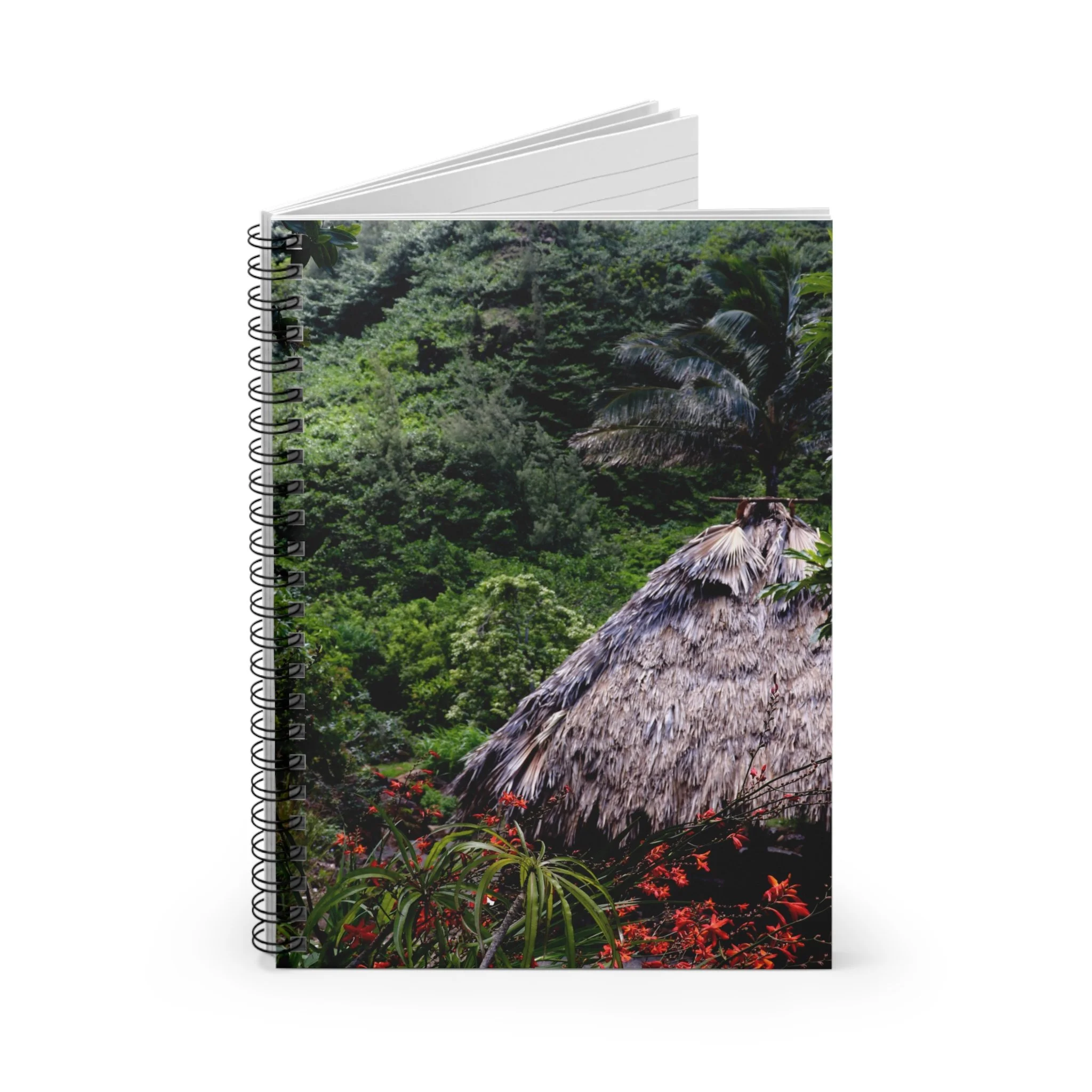 be1bf5972dc0261f29c7a0010beaa1e1