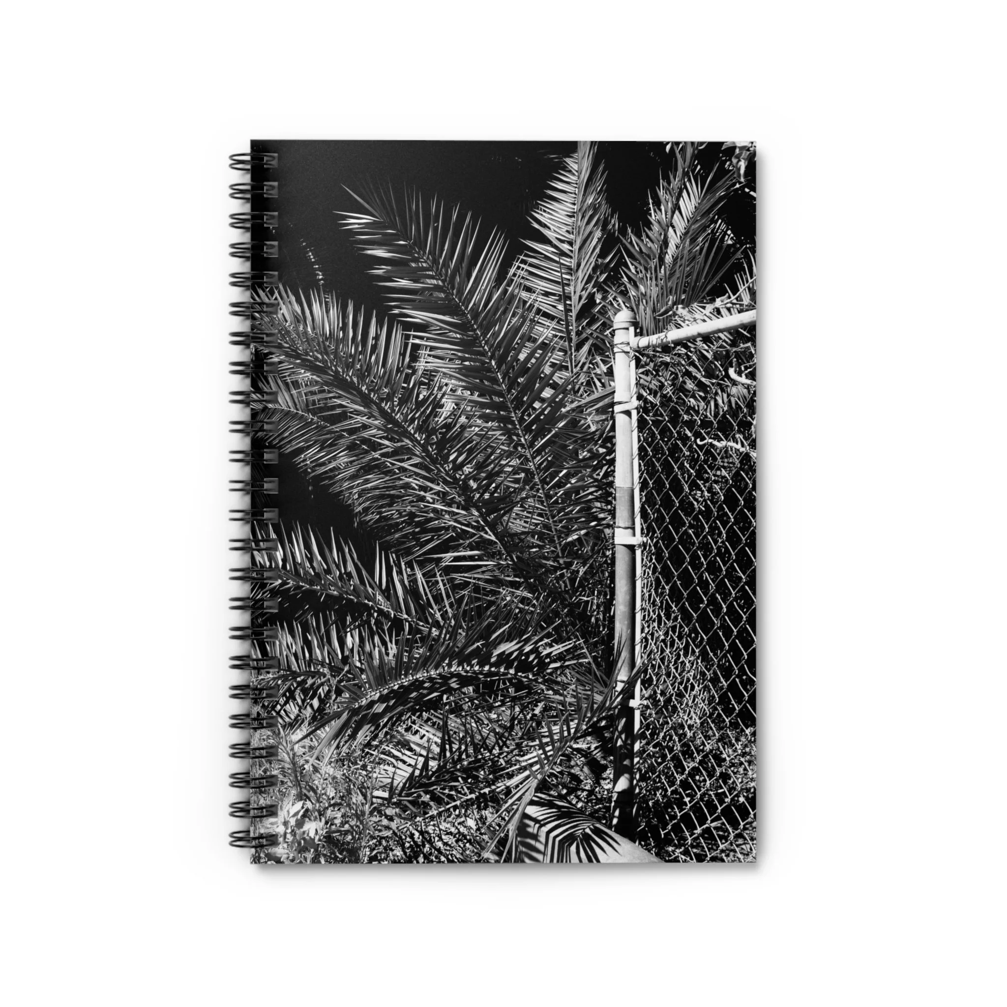 36d30e181240aa56766089b08b515c4b