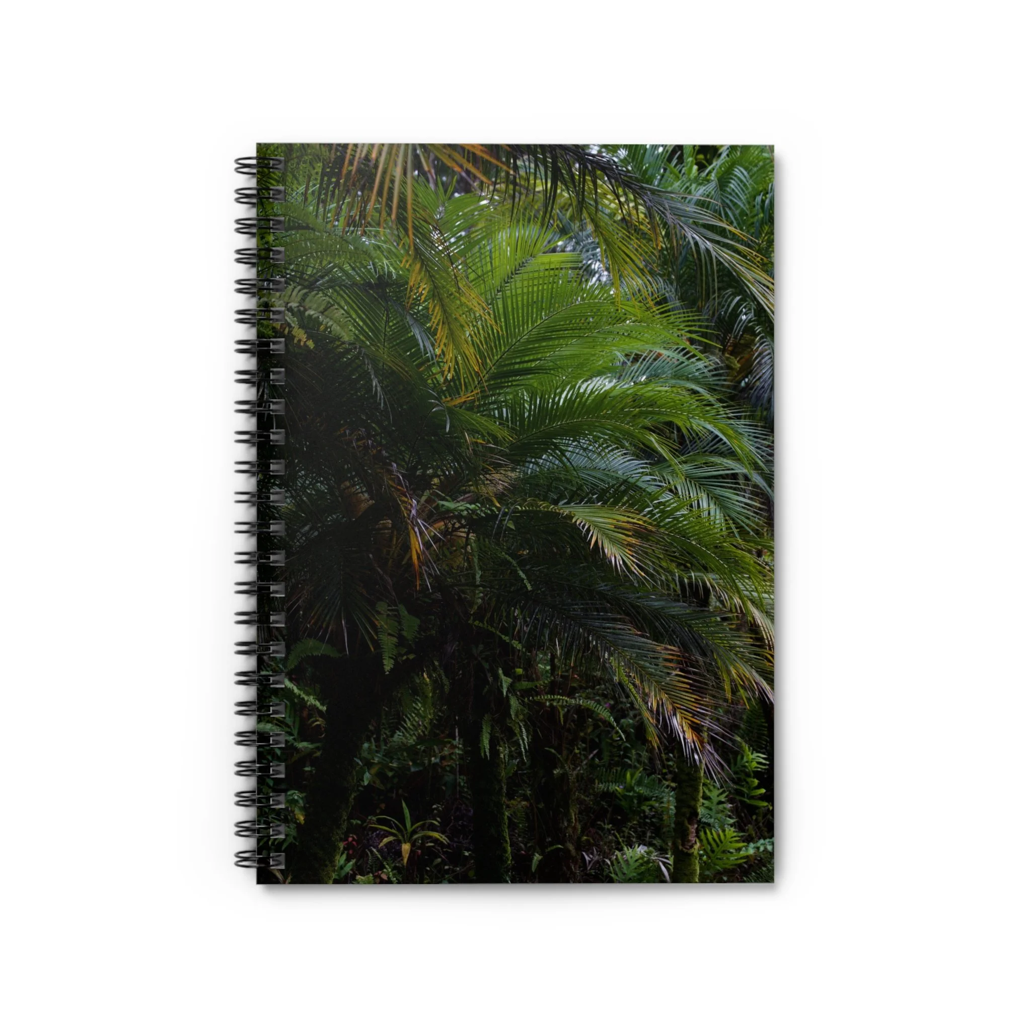 fc849aba44b1398e29da287940e0f7f4