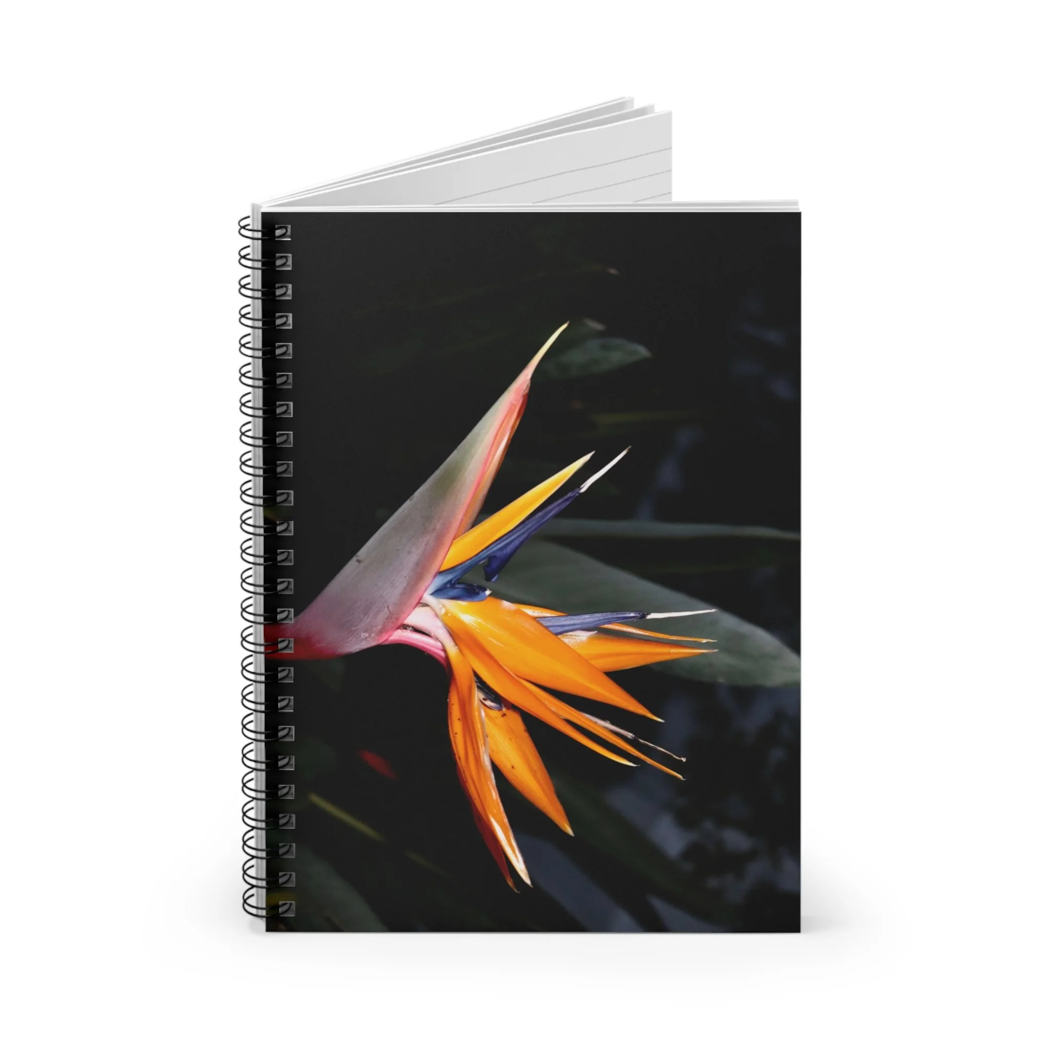 ab815b7d095218830a937b0889f174a7